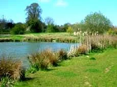 Home Farm Fisheries