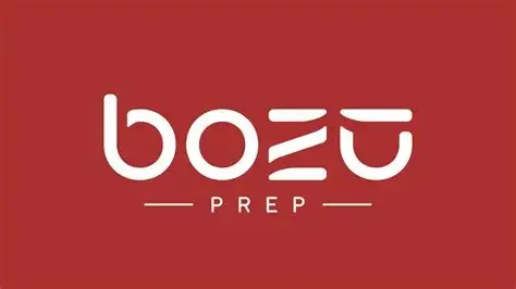 Bozu Logo.webp