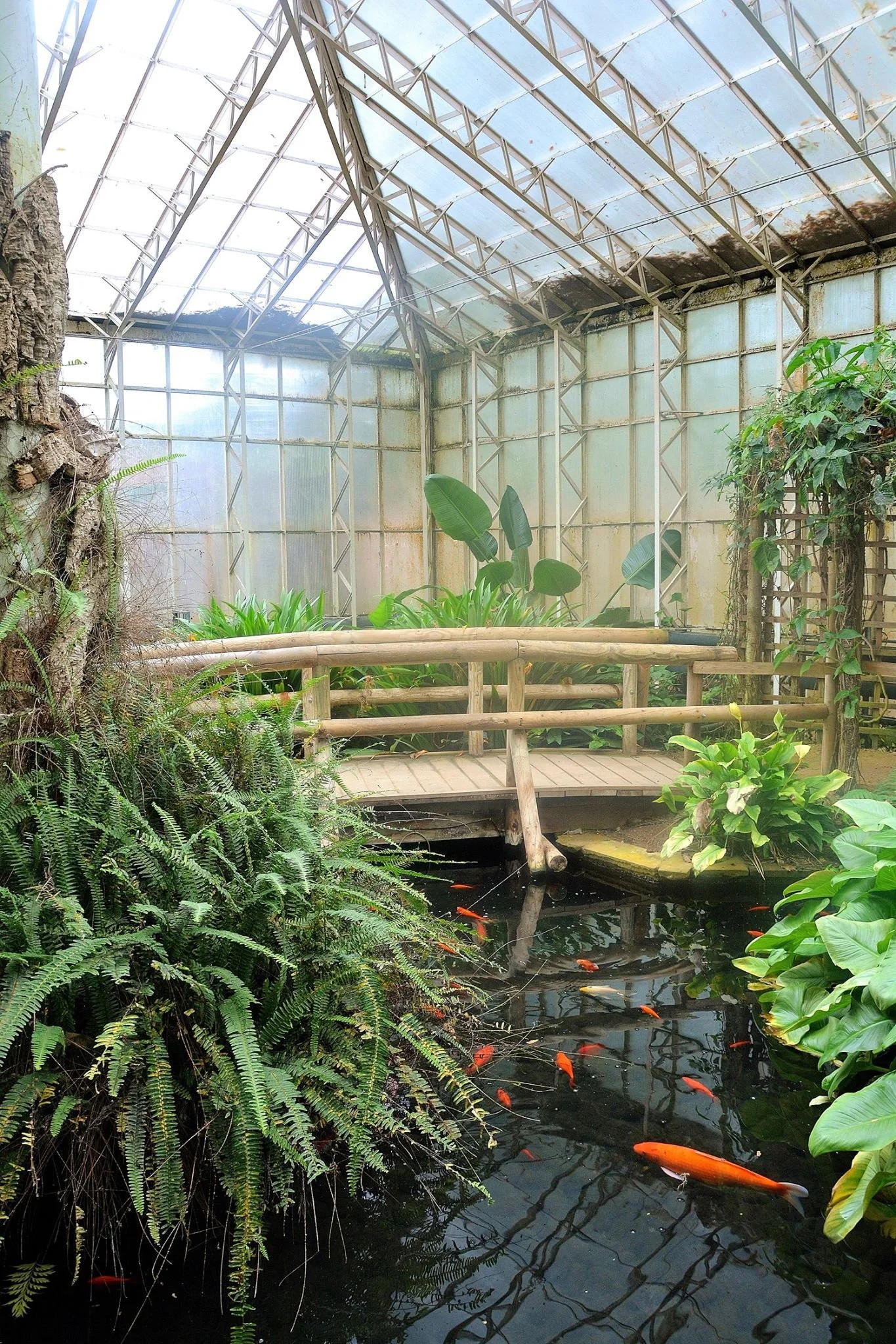 The Jospeh Banks Conservatory at The Lawns. Built in 1989 as part of the redevelopment of The Lawn, it housed tropical plants and celebrated Banks' contribution to natural history, including his voyages with Captain Cook.

When The Lawn was sold in 2