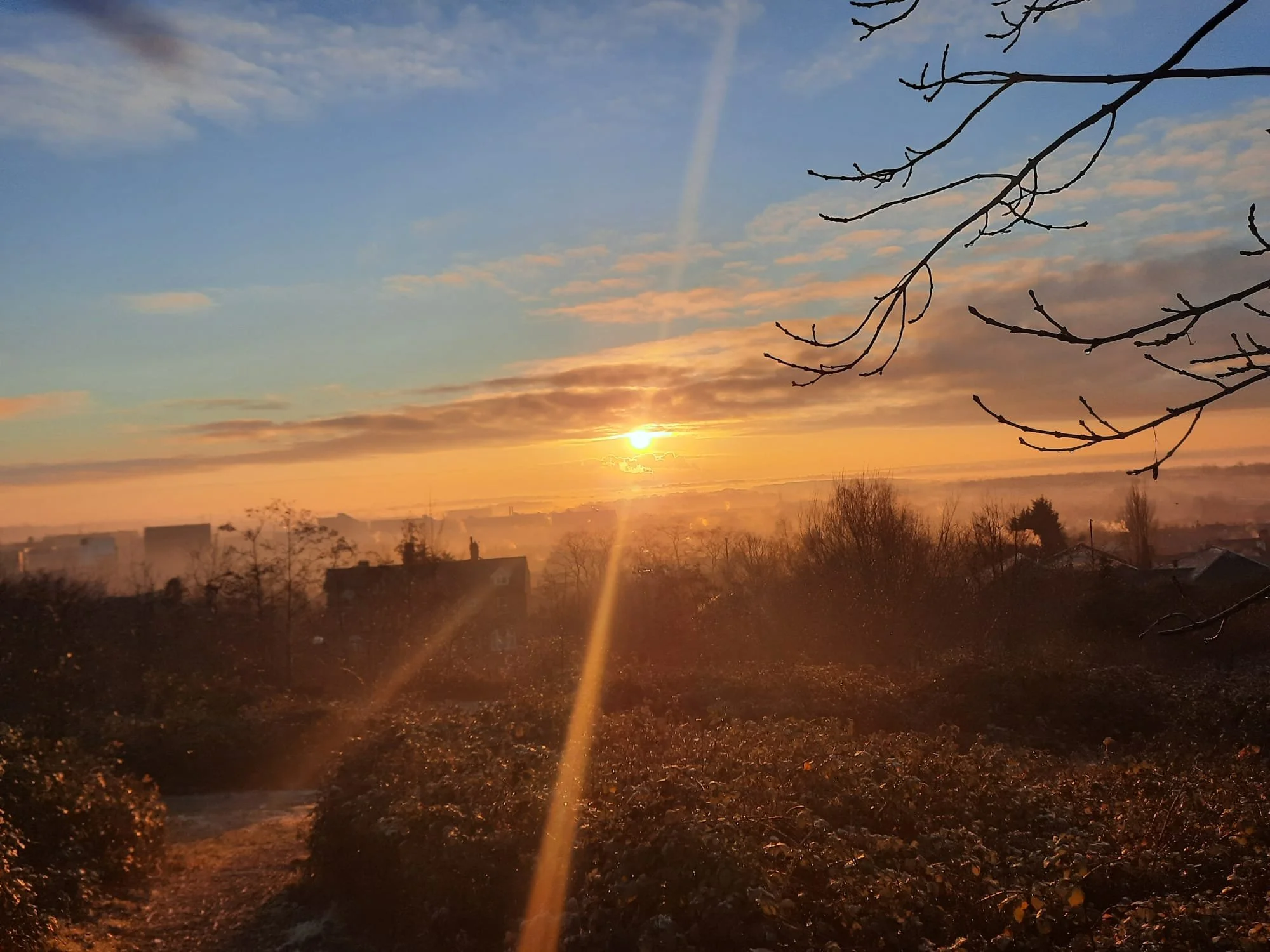 Sunset over Liquorice Park. Thank you for your photo Jamie. 