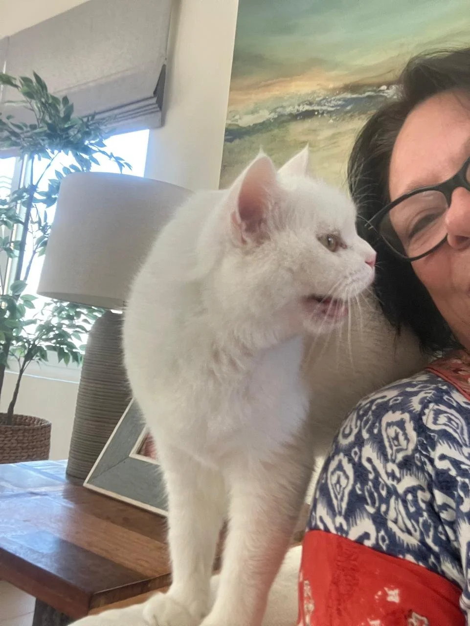 WhatsApp Image 2025-05-13 at 4.05.36 PM.jpeg