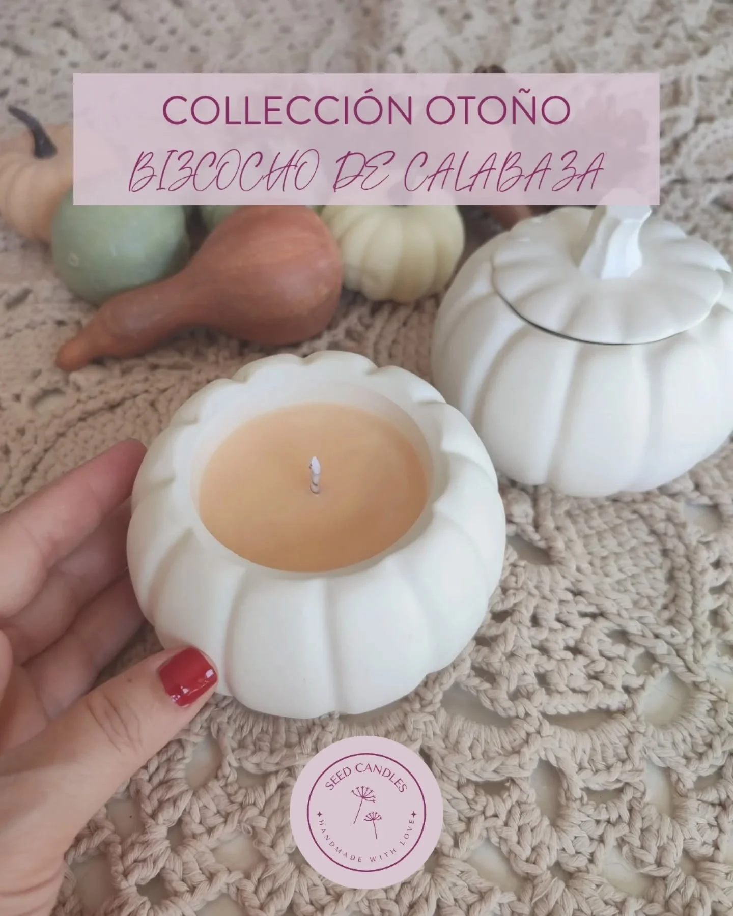 🍂✨ Descubre la esencia acogedora del otoño con nuestra vela Bizcocho de Calabaza.
Una invitación a disfrutar de momentos cálidos, dulces y reconfortantes en tu hogar.
Su fragancia combina:
✨ Salida: calabaza espe