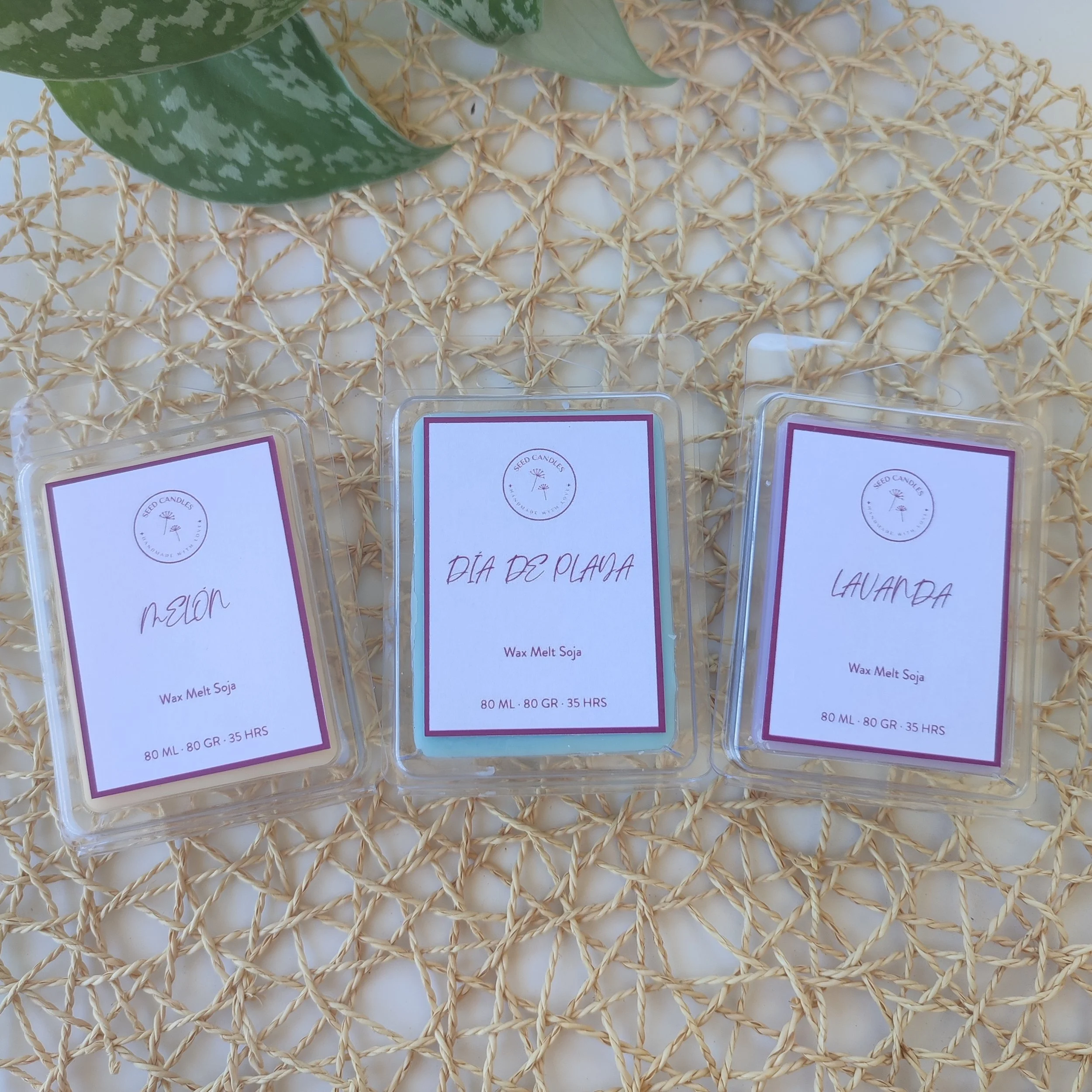 Pack Wax Melt Colección Verano
