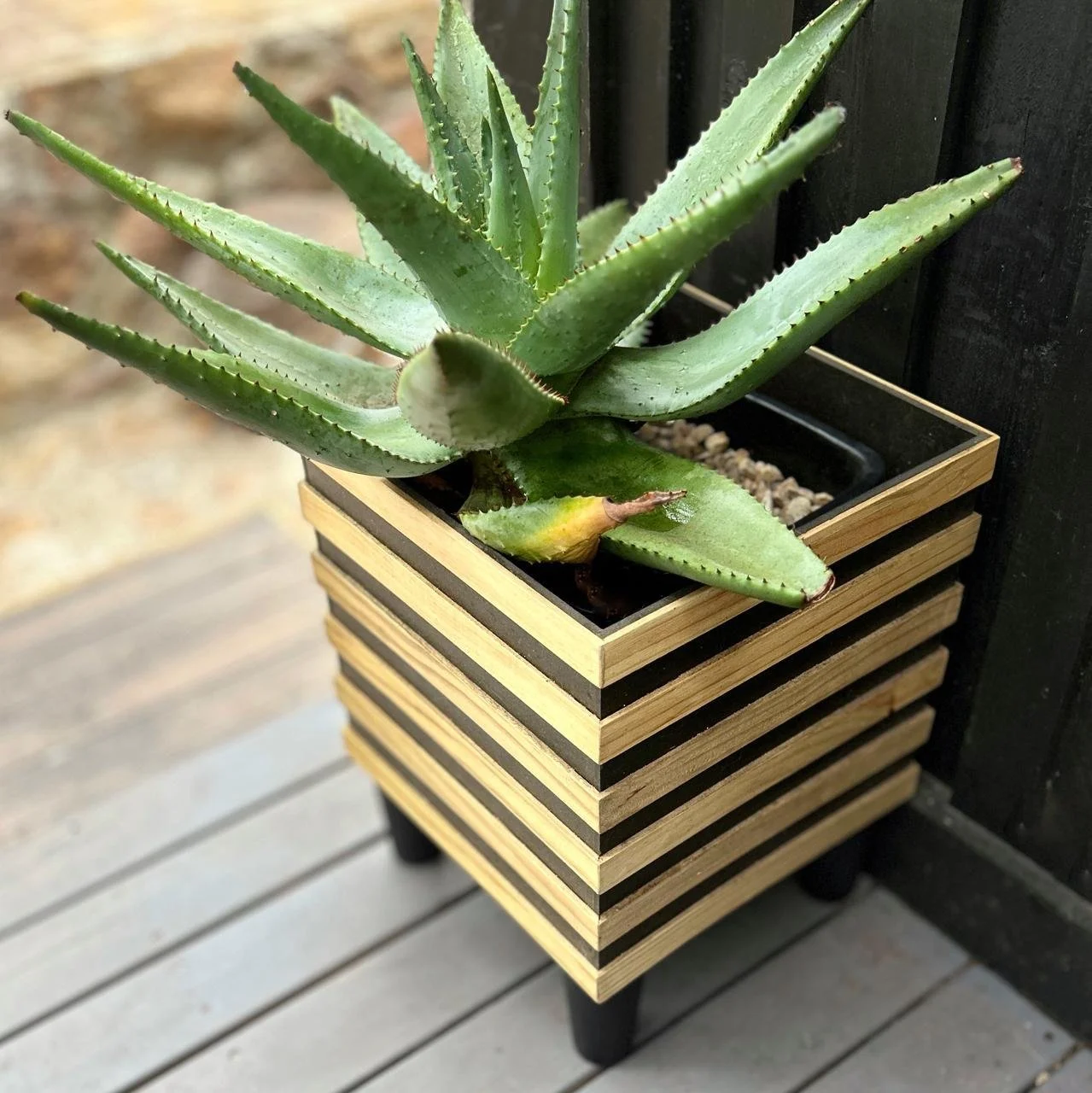 A potted succulent plant in a modern, layered wood planter on a deck.