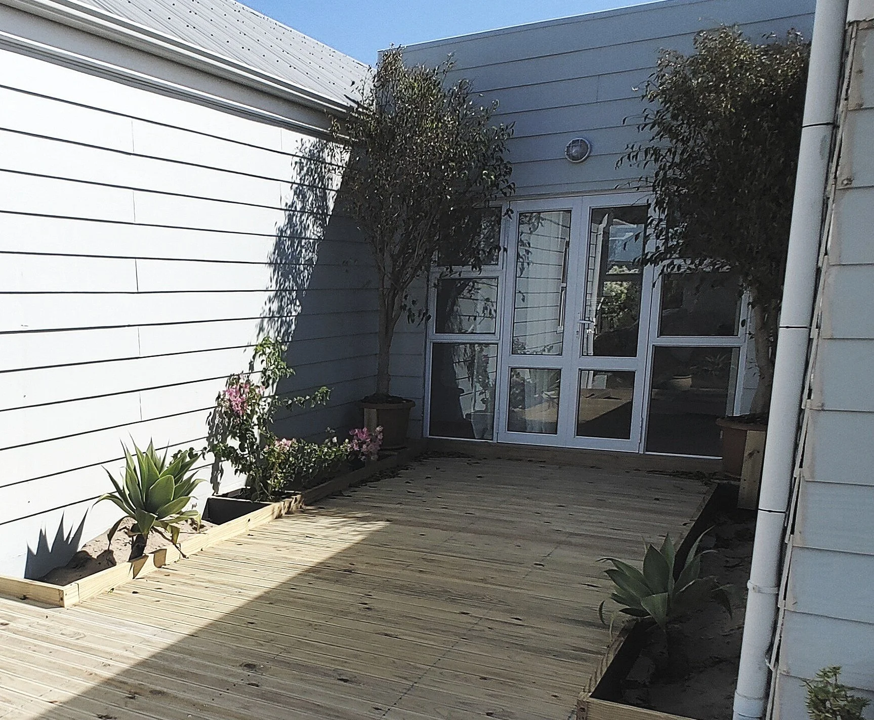 Small courtyard with wooden decking, white siding, and potted plants including succulents and small trees next to a glass door.
