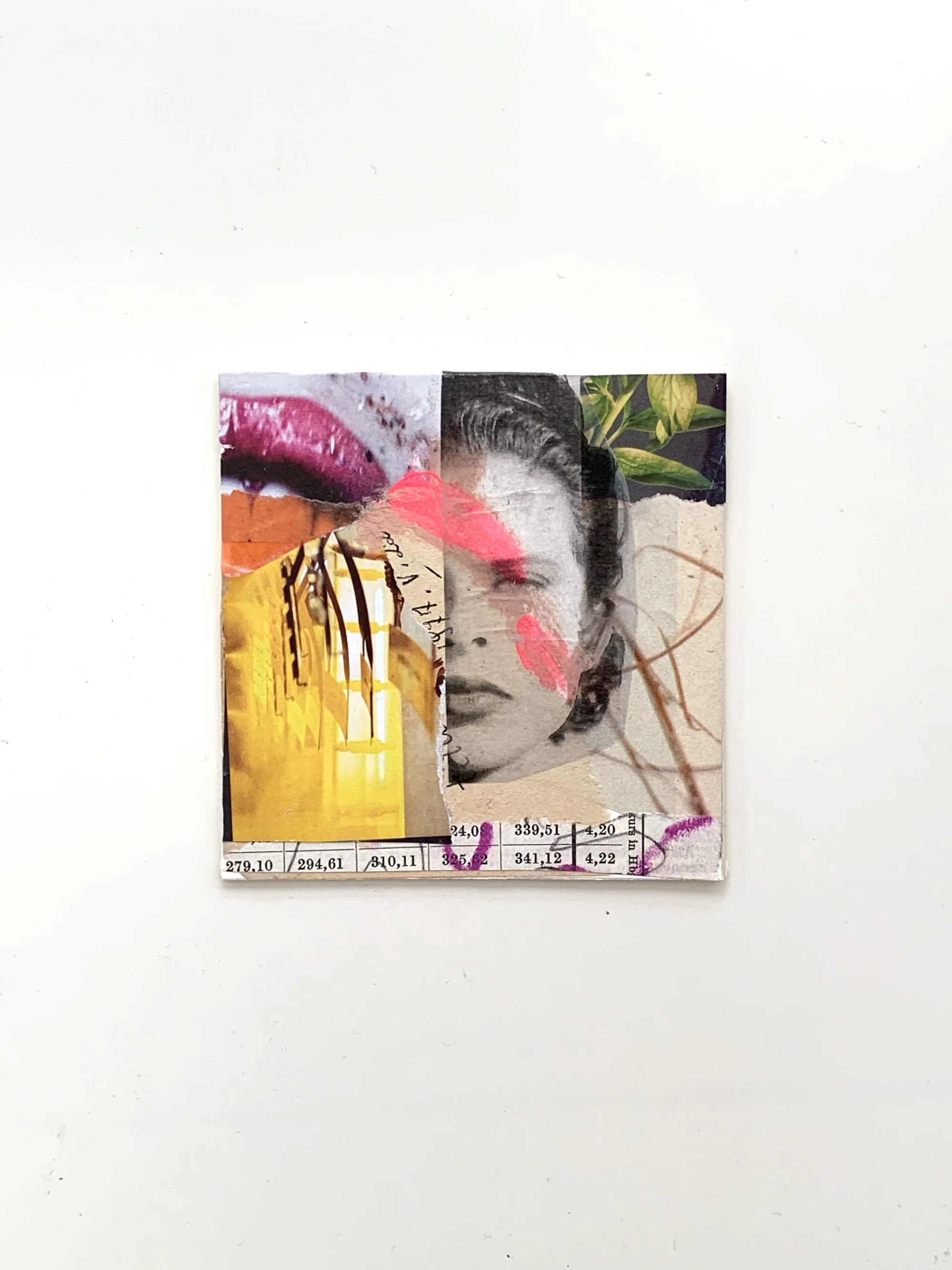 Collage 810_1.jpg