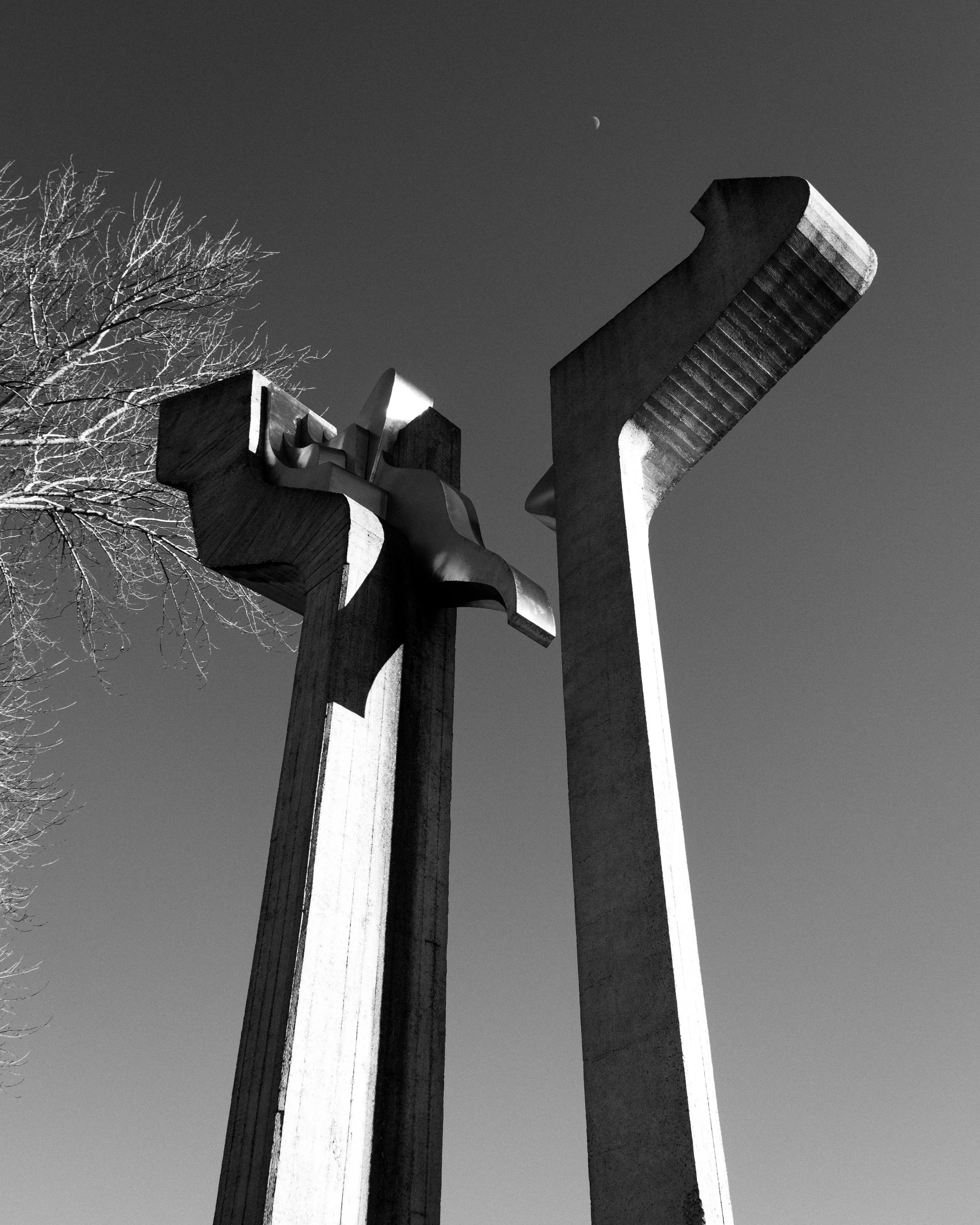 Theodor-Petruna-13.jpg