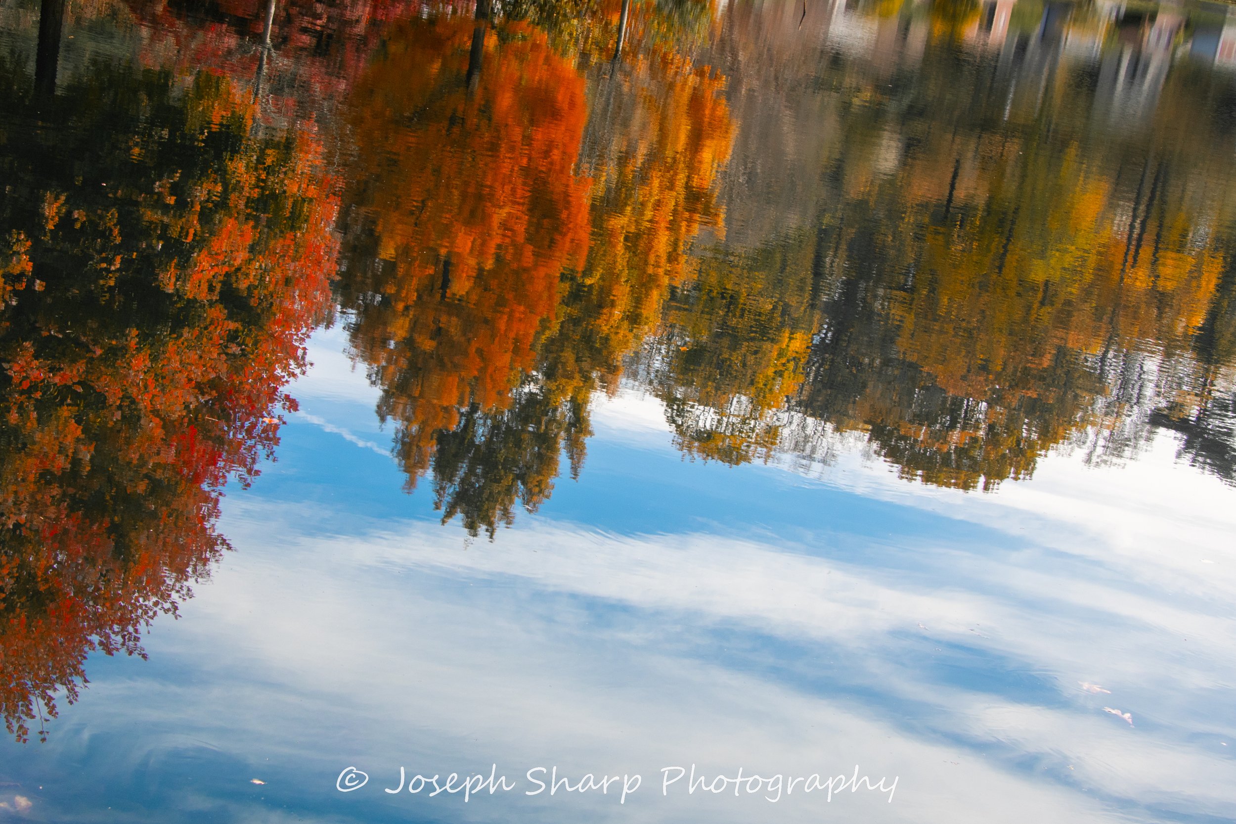 LR Brooklyn Fall Colors-06.jpg