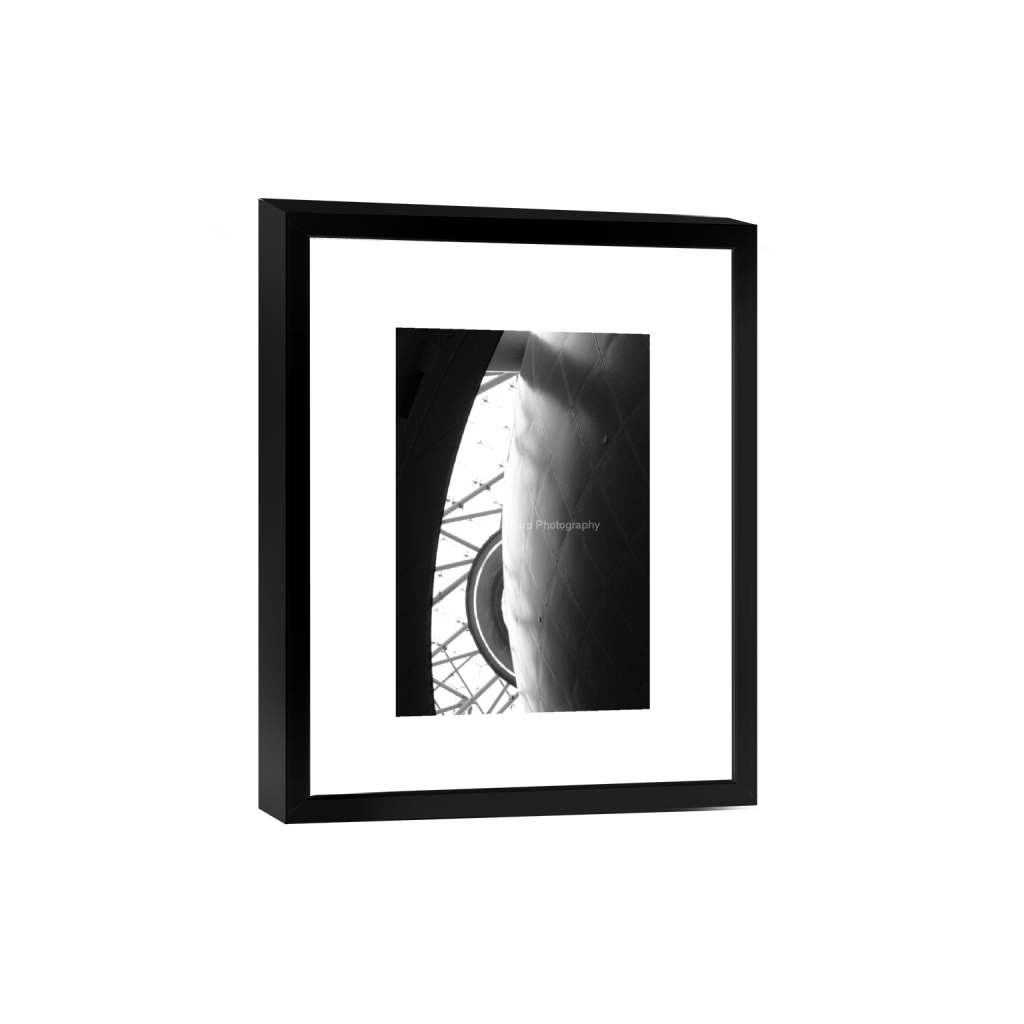 Museum of Natural History-Manhattan