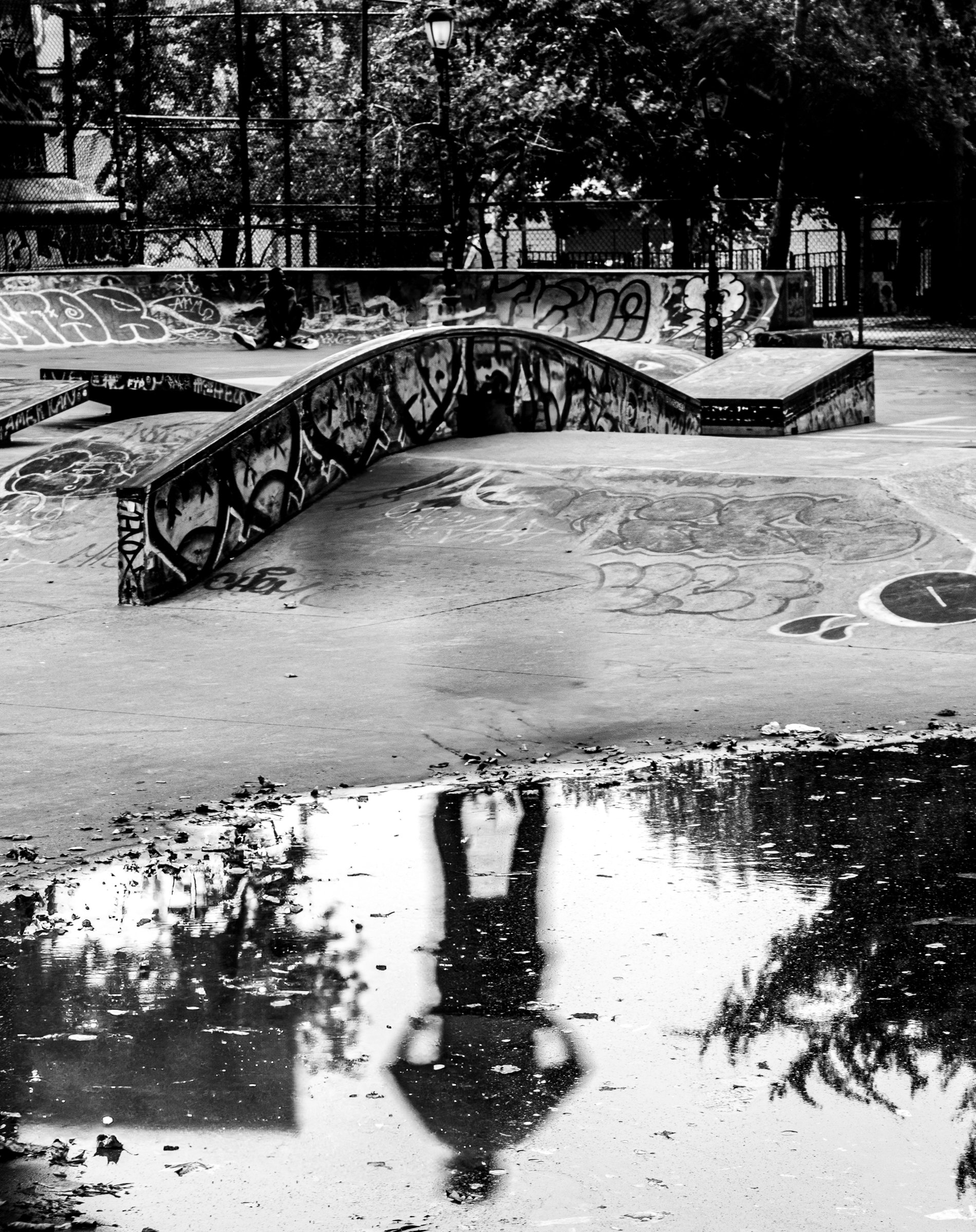 TAOP Skate Park-3.jpg
