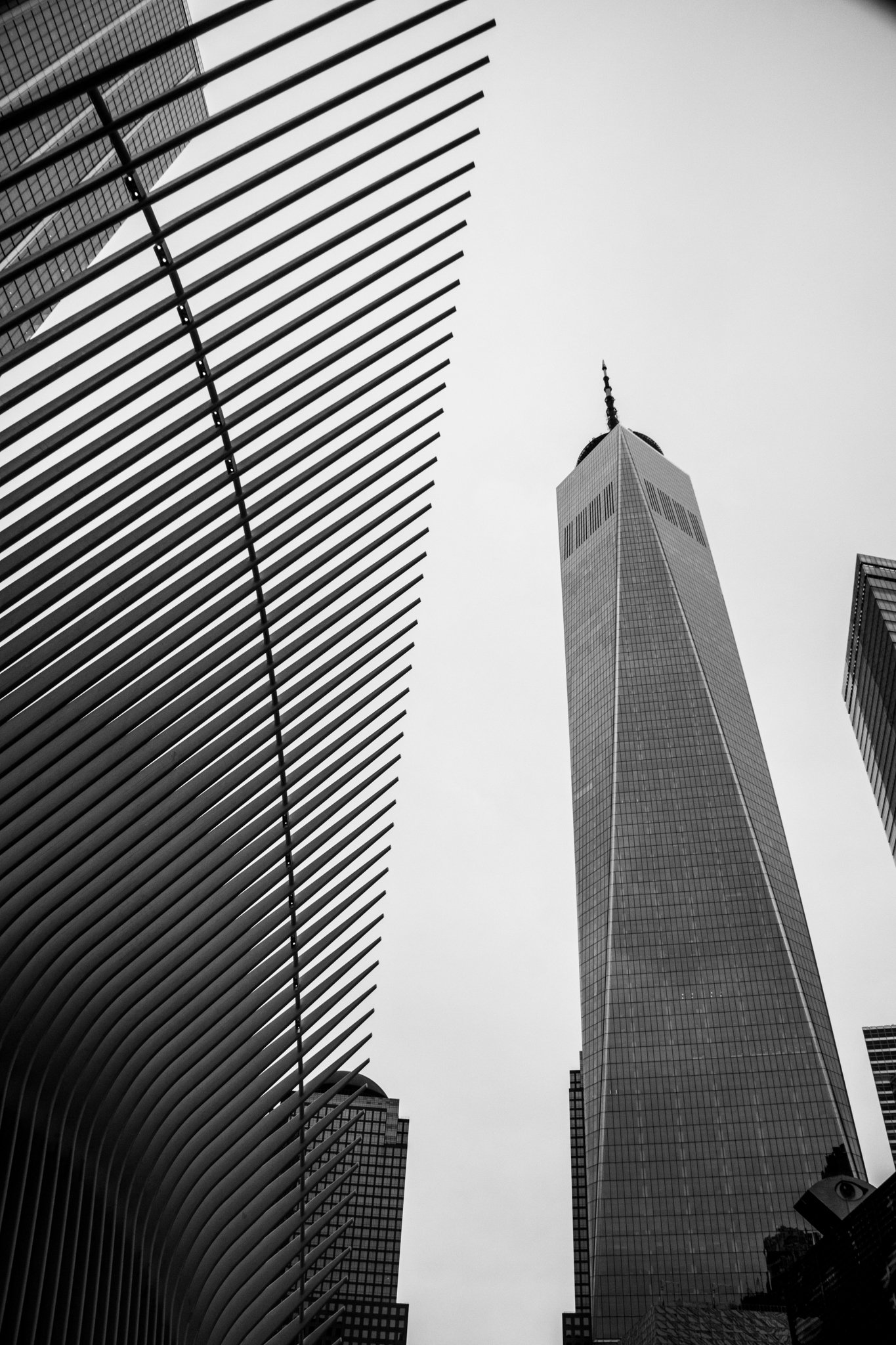 LR WorldTrade Photo Walk-1.jpg