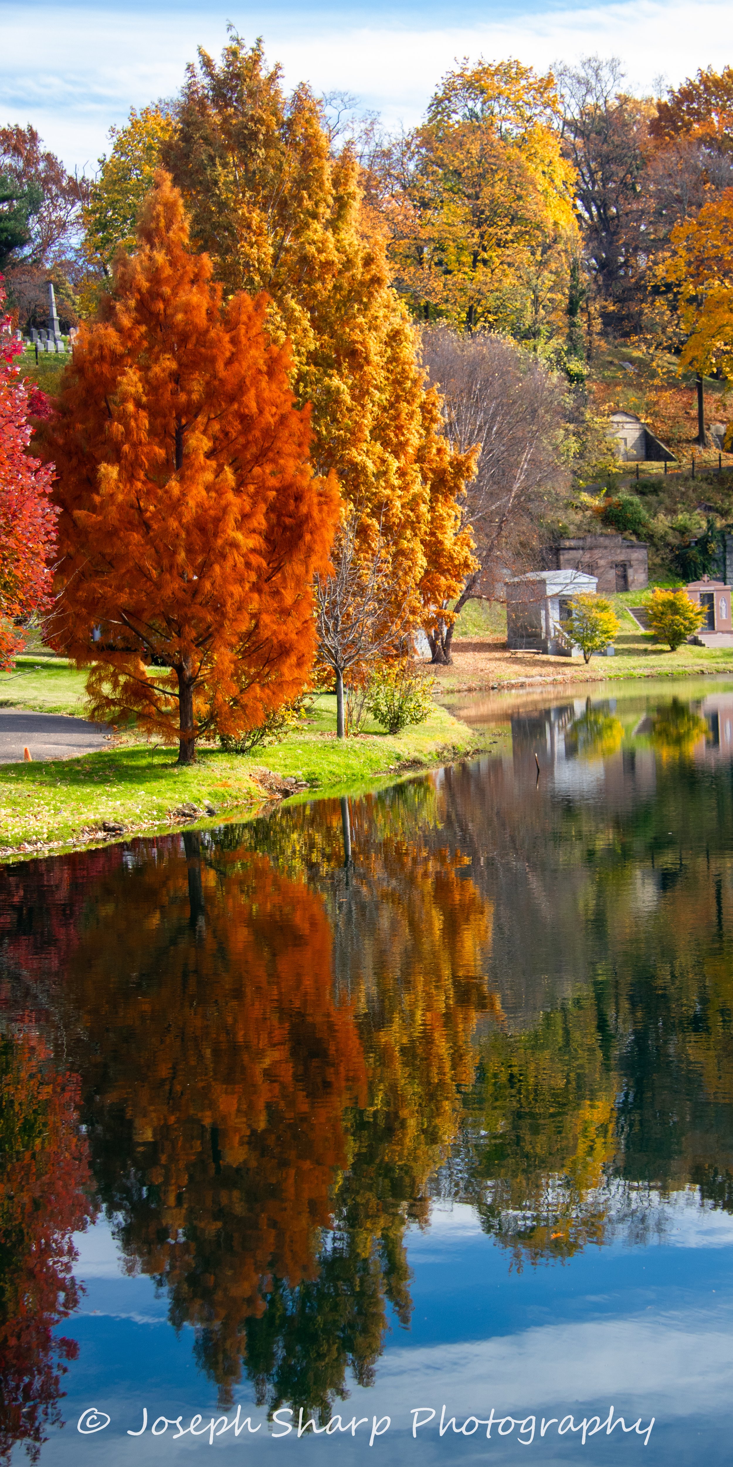 LR Brooklyn Fall Colors-07.jpg