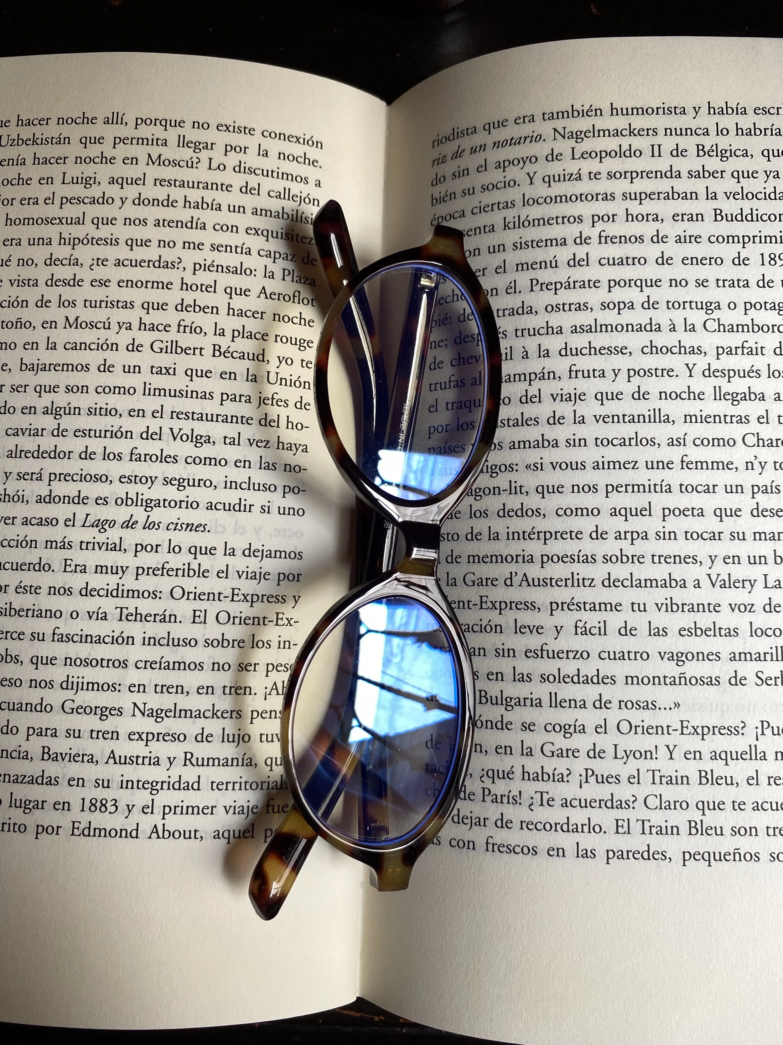 sarahi-ahumada ramirez-dupe.jpeg