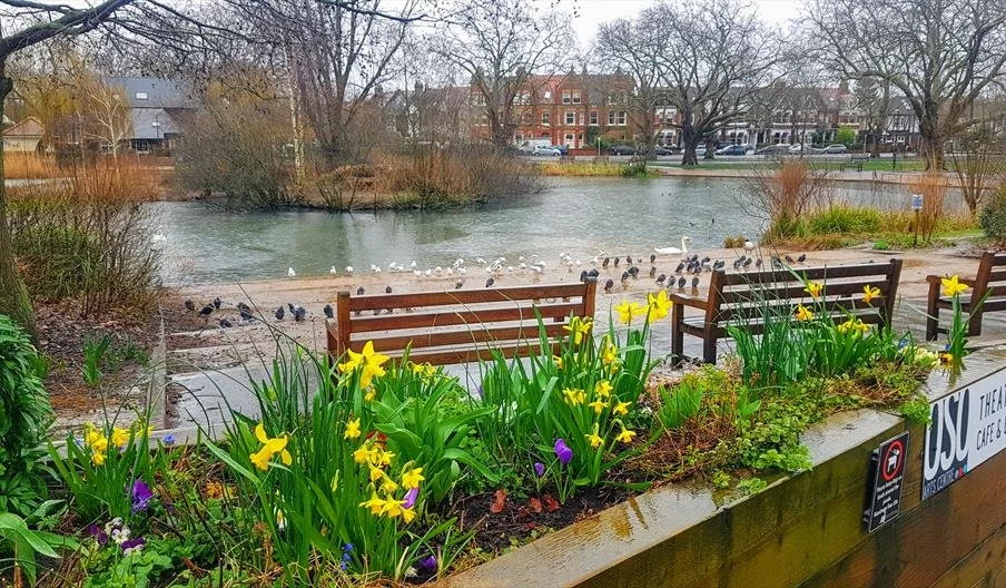 Barnes SW13
