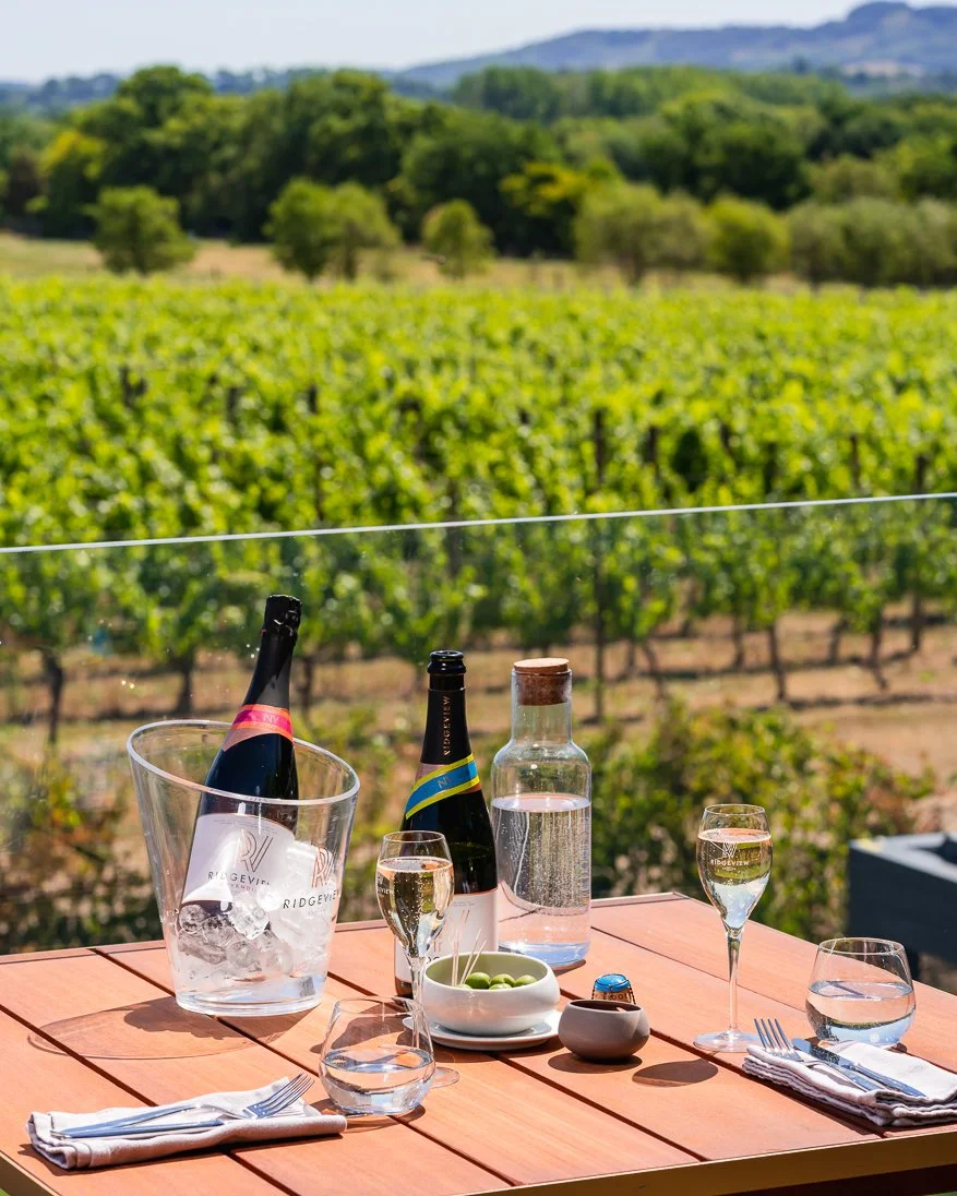 English Sparkling Wine overlooking the South Downs National Park, Sussex, England