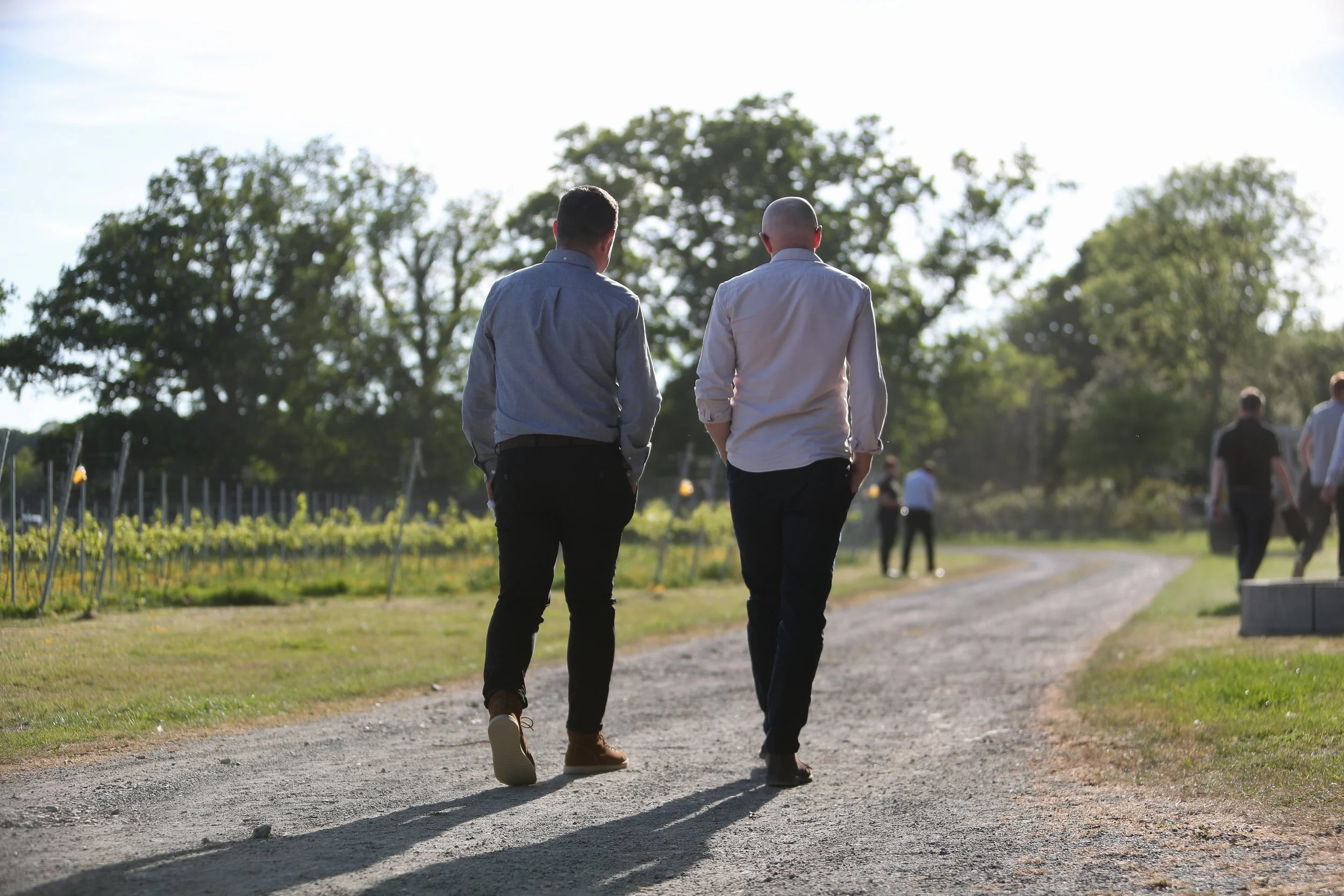 senior leadership team enjoying walking and the views during a company event  in a Sussex Vineyard