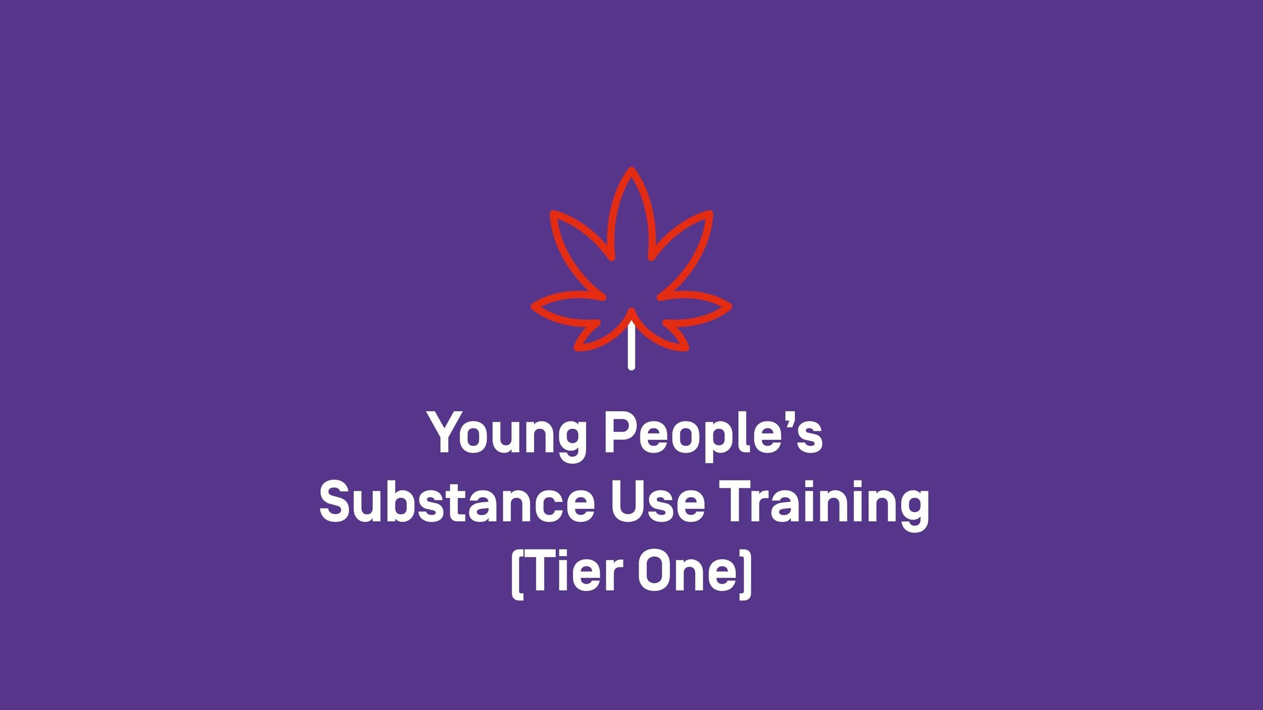 Young People's Substance Use Training - Rochdale