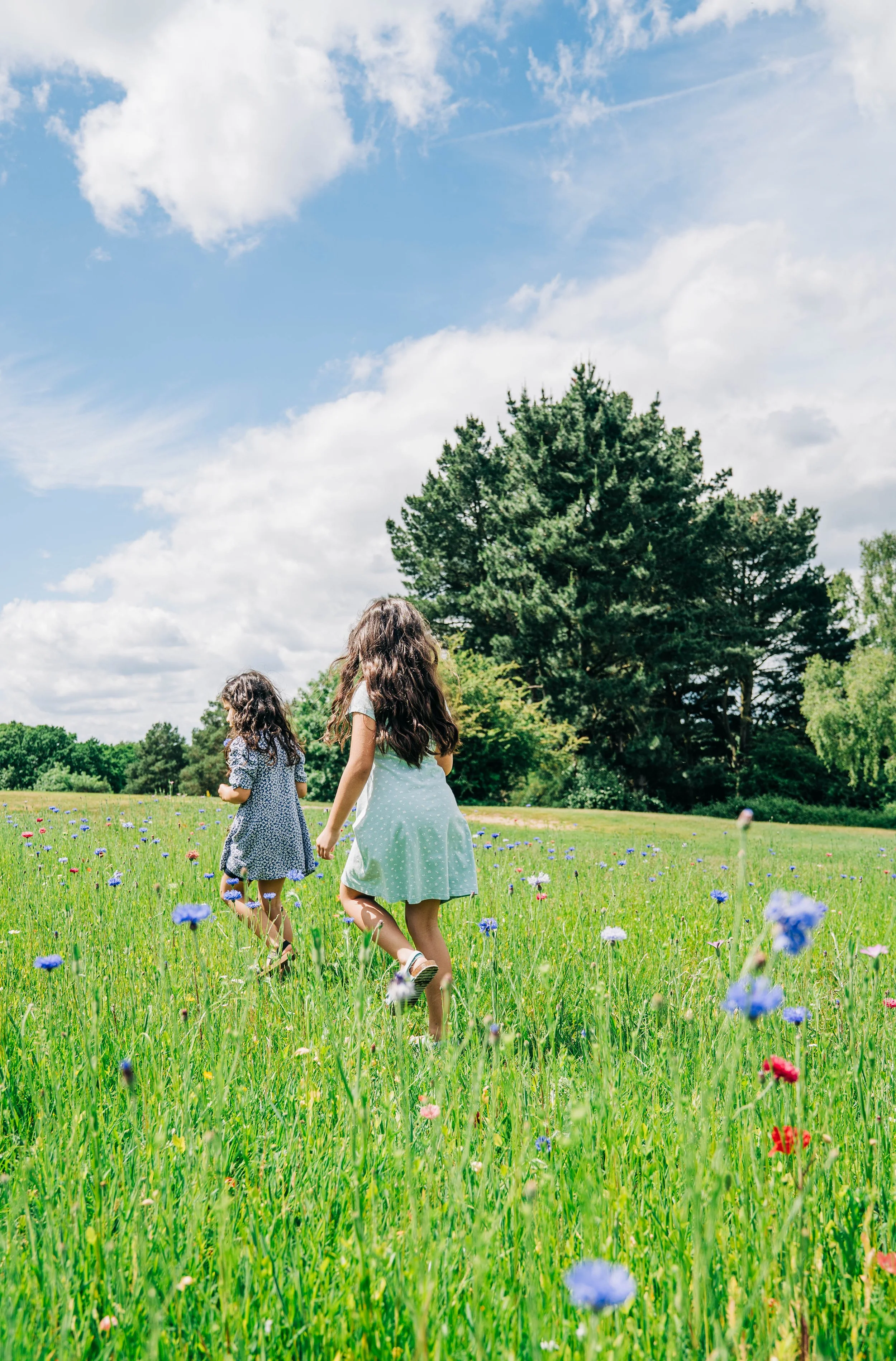 Two young girls in dresses playing and running through a green meadow with colorful flowers on a sunny day with blue sky and clouds.