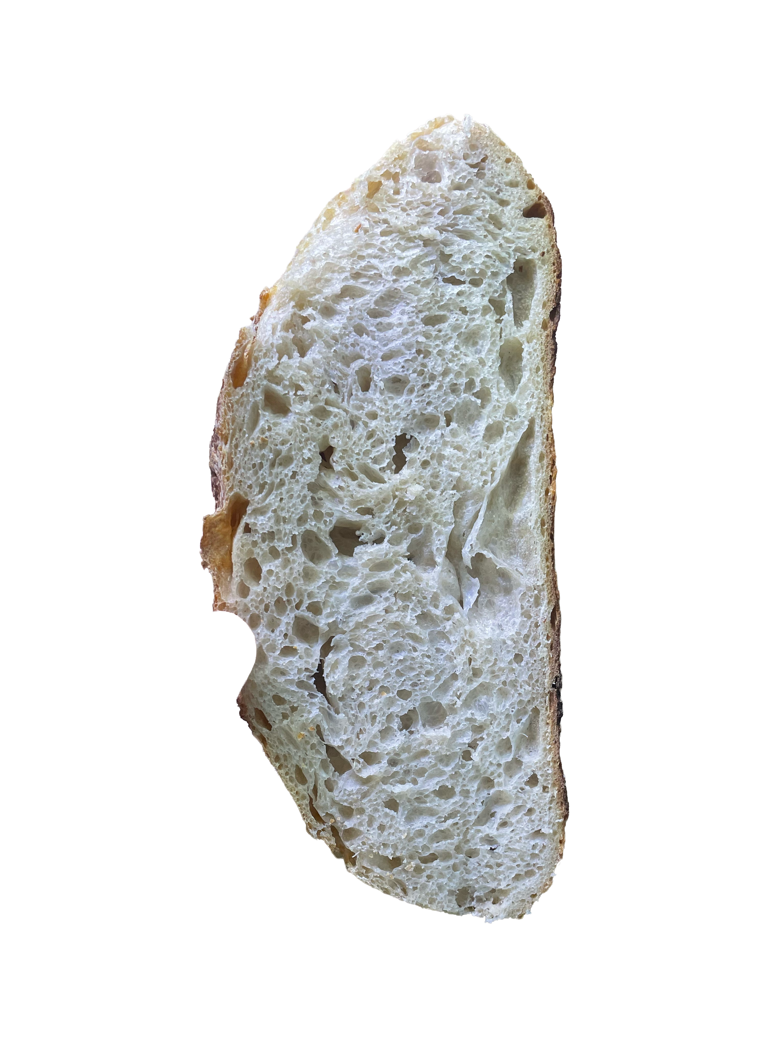 slice tsp.png