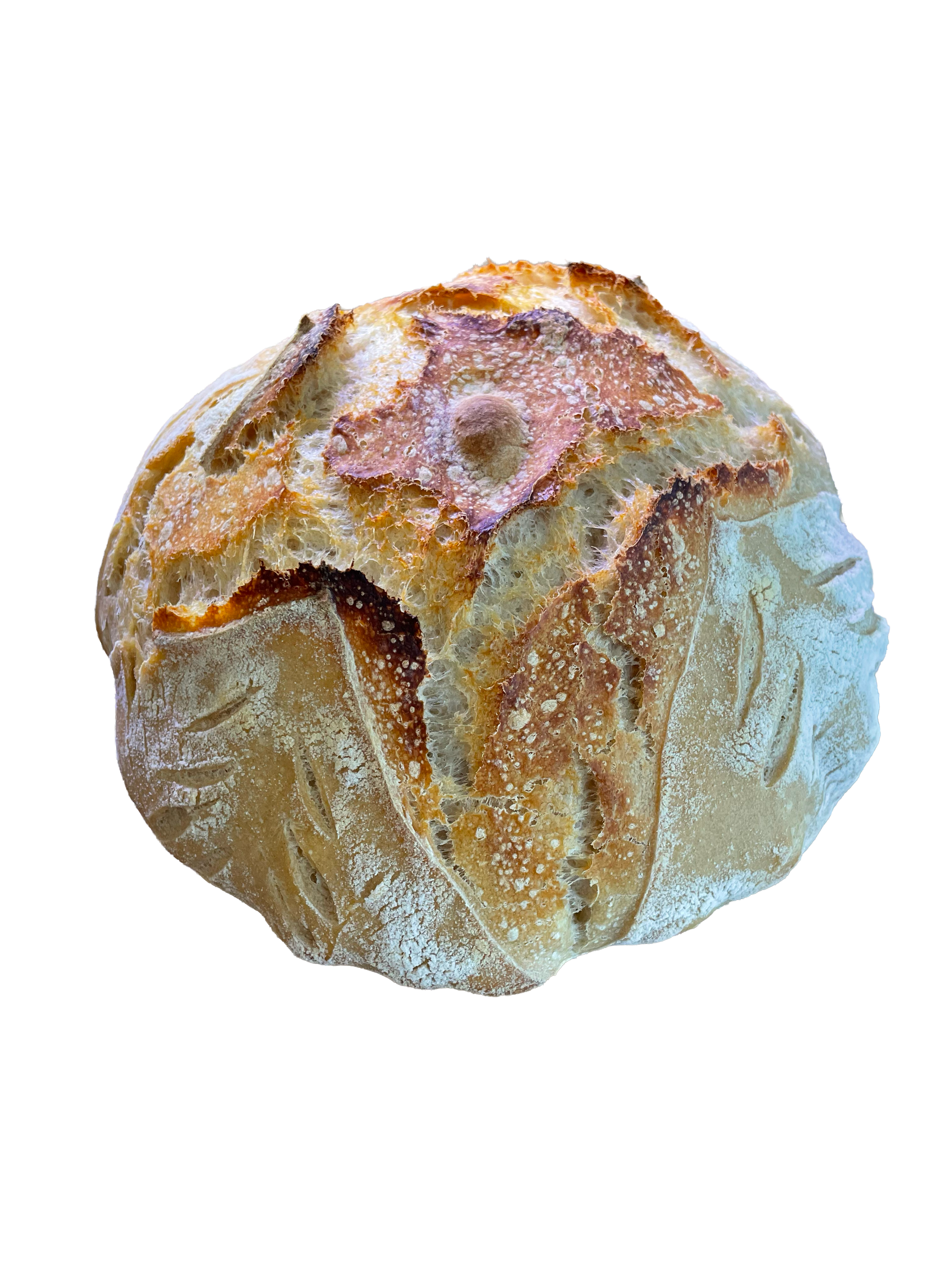 Artisan Sourdough Loaf