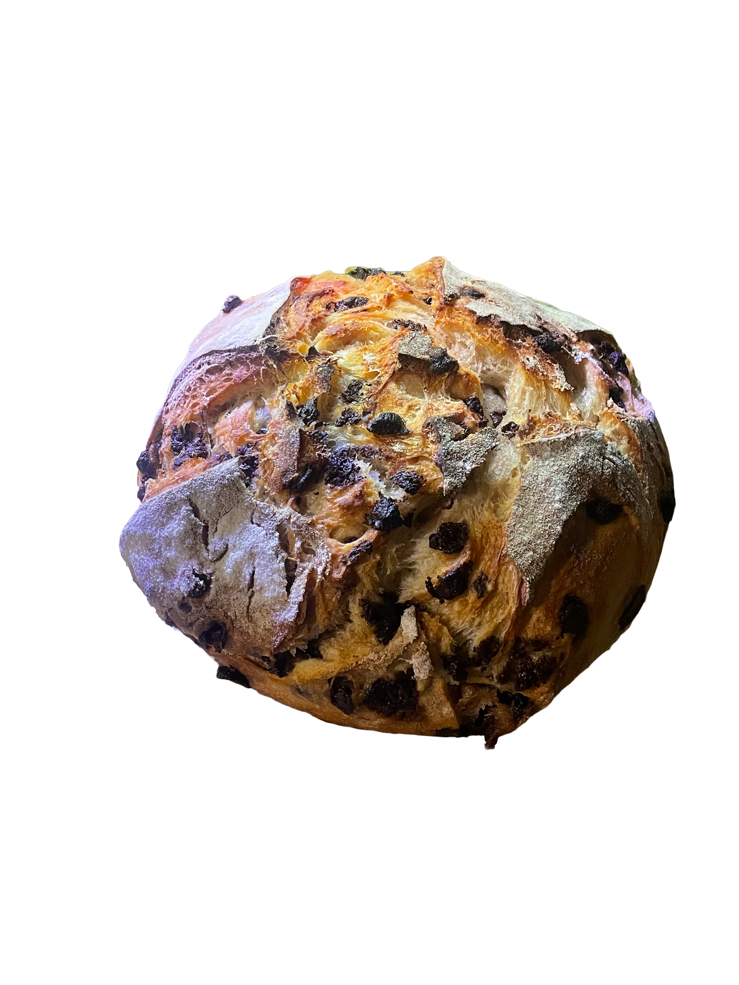 Smores tsp.jpg.png