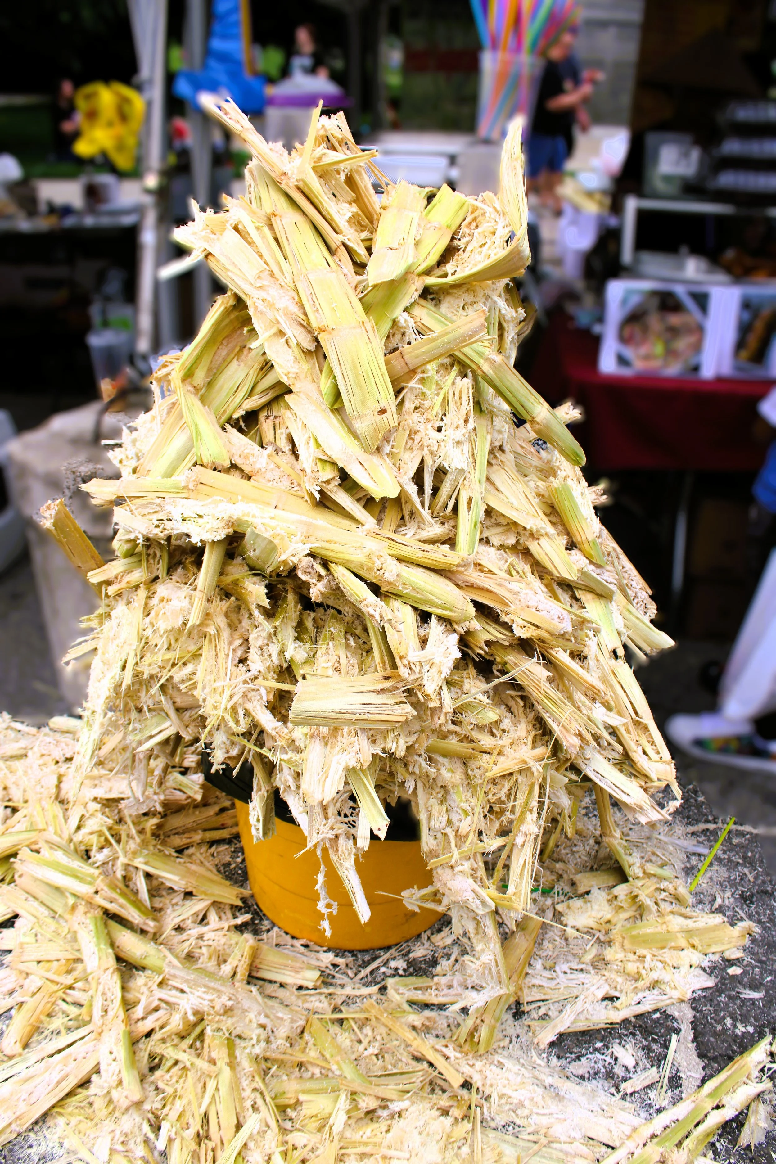 Pile of chopped sugarcane stalks at a market stall with blurred background of vendors and shoppers at CelebrAsian 2025 DSM. Downtown Living Des Moines Street Photography.