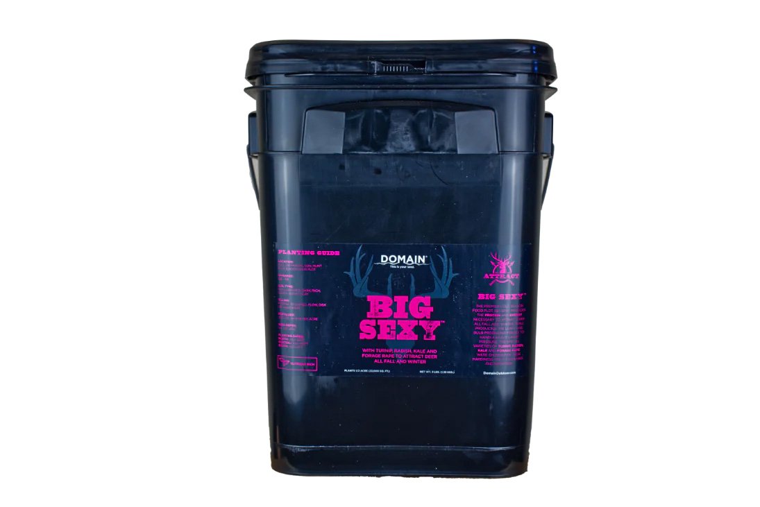 BIGSEXYBIGGULP_5000x.jpg