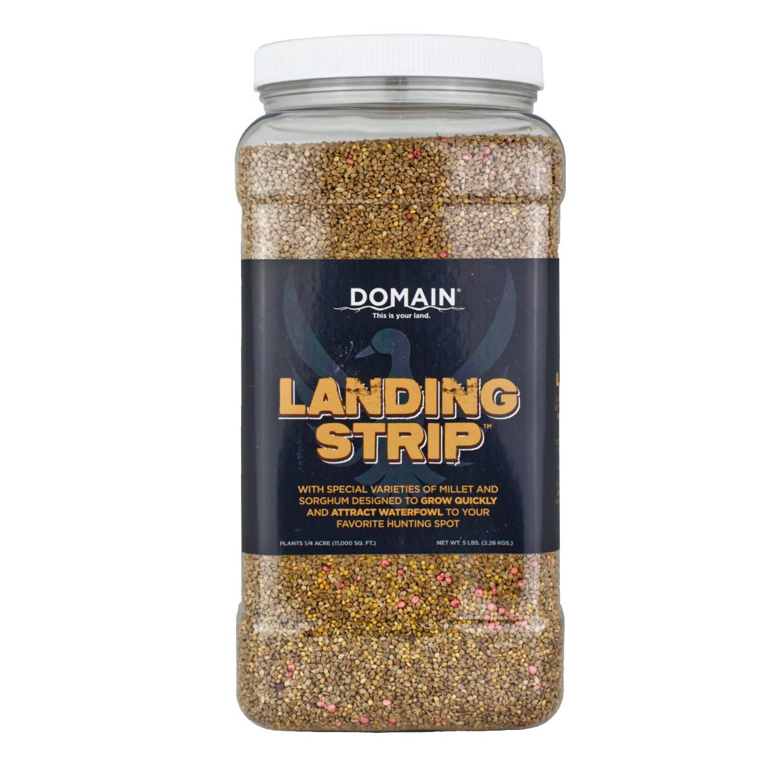 Domain Landing Strip TM
