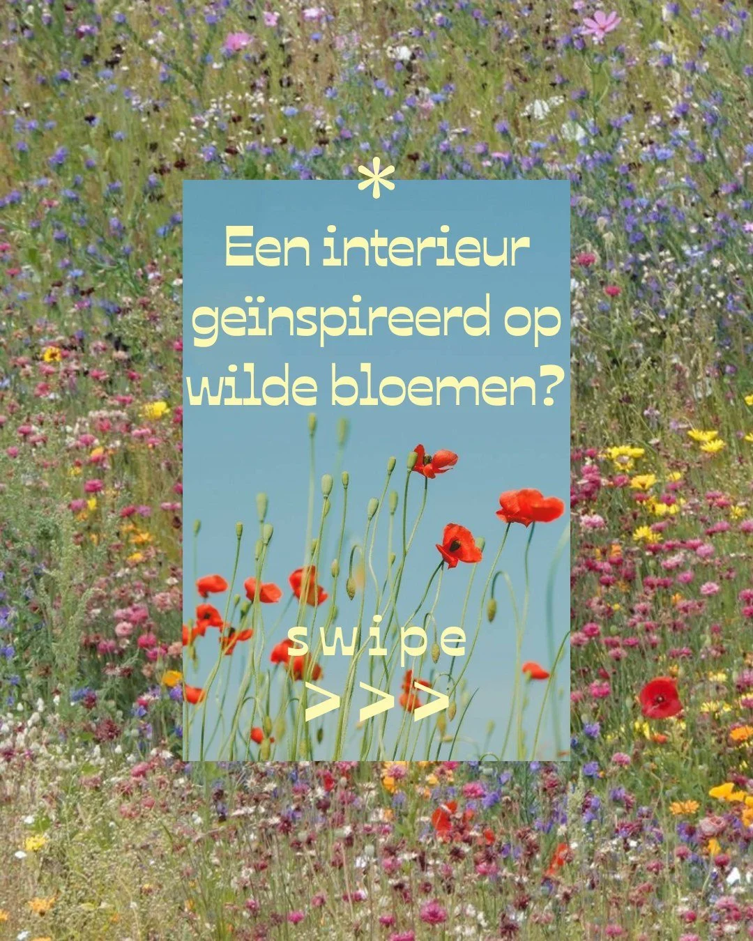 Bloemen zijn een vibe. Vorige week vroeg ik jullie: van welke lievelingsbloem wil jij inspiratie voor je interieur? De reacties vlogen binnen 🌸

Wilde bloemen zijn de eerste in deze nieuwe reeks: een interieur ge&iuml;nspireerd op jouw lievelingsblo