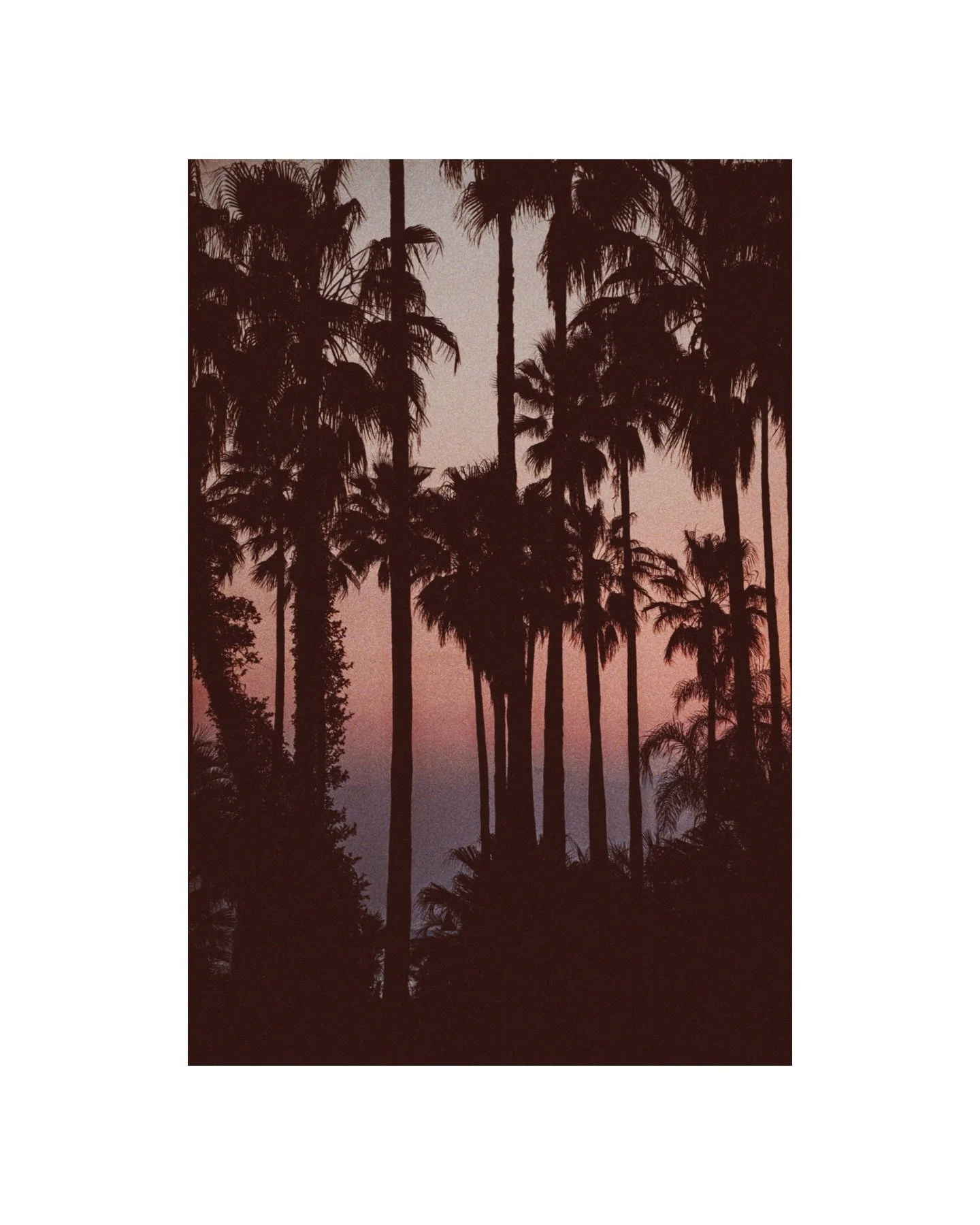 Miyazaki, Japan &mdash; morning light. 
宮崎の朝の光。
Happy to share print details via DM.
プリントの詳細はDMでお知らせします。
@tamronaus 
150-500

#artprint #gallerywall #miyazaki #morninglight quietmoments