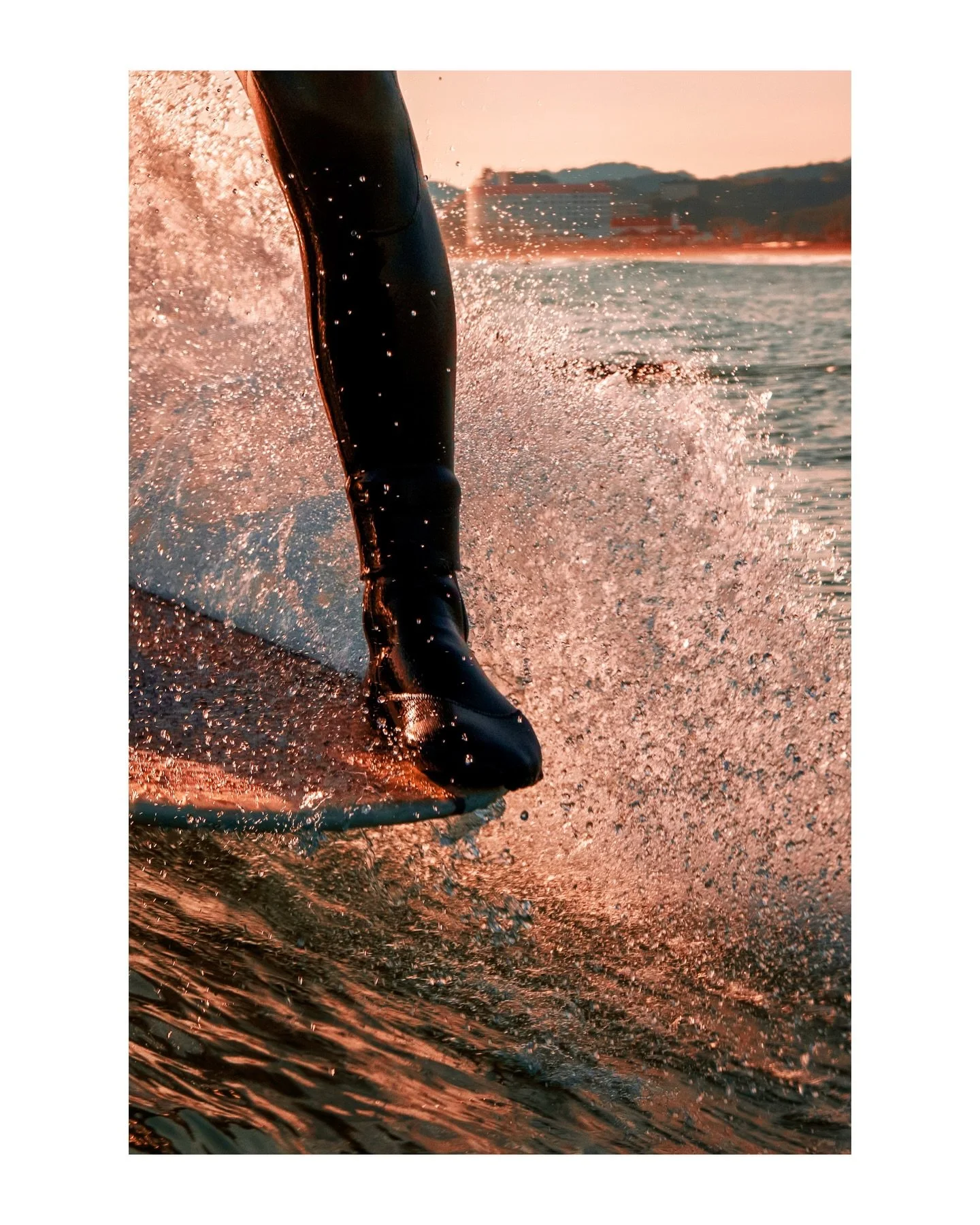 Two I&rsquo;ll print one is close and one is pure fun.

.
Tamron 20mm &amp; 150-500 @tamronaus