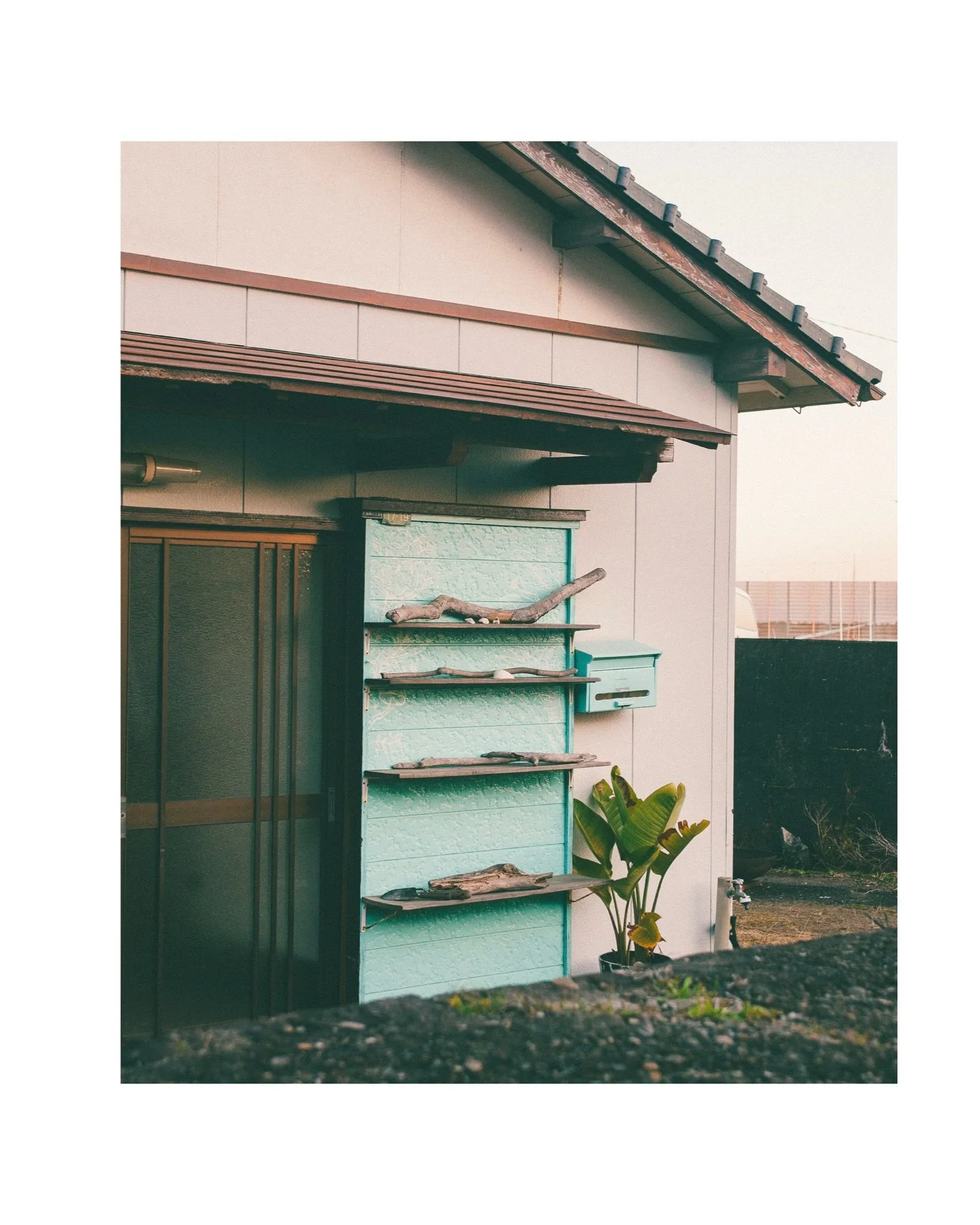 Dawn textures ⚓️ Note to self: stop watching Lucy Luman YouTube videos about old camera gear.
Shot on a 20-year-old Canon 5D with a 40-year-old Tokina 28&ndash;70mm lens. Purchased after watching the video 🤷&zwj;♂️ Aoshima port at dawn. 🌅

#canon5d