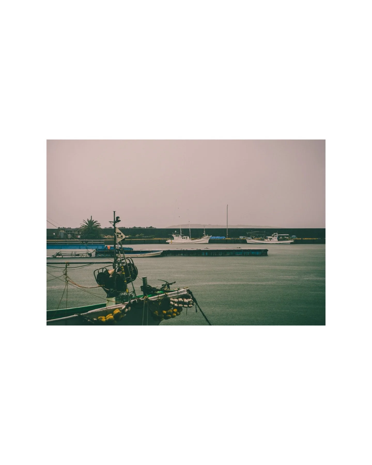 Quiet Harbor in the Rain - Aoshima port . 

Prints available from - 
&bull; A3 &mdash; &yen;14,000
&bull; A2 &mdash; &yen;25,000
&bull; A1 &mdash; &yen;45,000
Printing time is approximately 2 weeks. 

@tamronaus 150-500mm Sony a1 

#fineartphotograph
