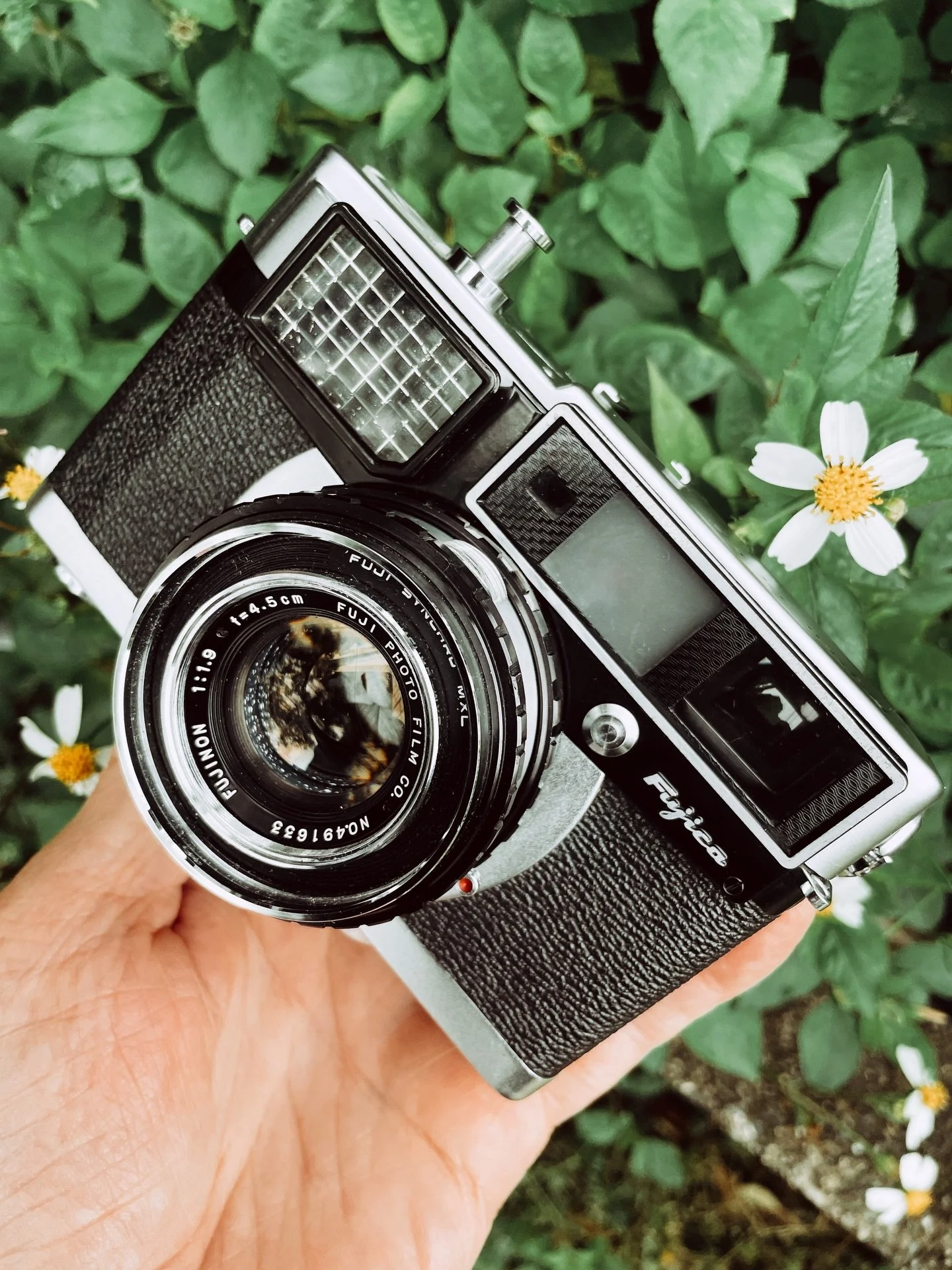 The camera failed on the day, but I still managed to get a few shots out of the old girl before she gave up.

I picked up the Fujica 35 EE in a junk shop for about $10 , not expecting it to work&mdash;but once I got it home and gave it a proper look 