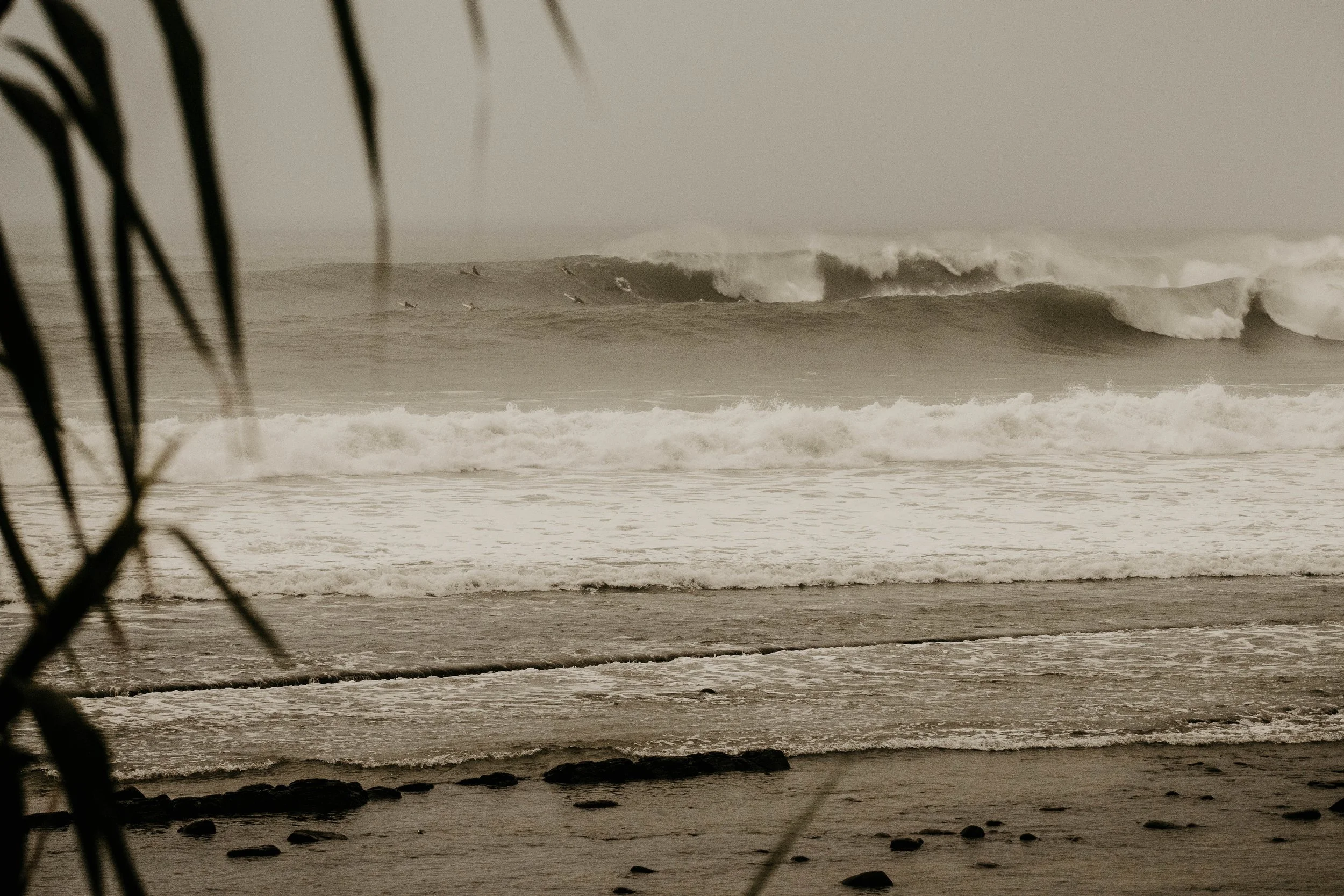 DSC09747.jpg