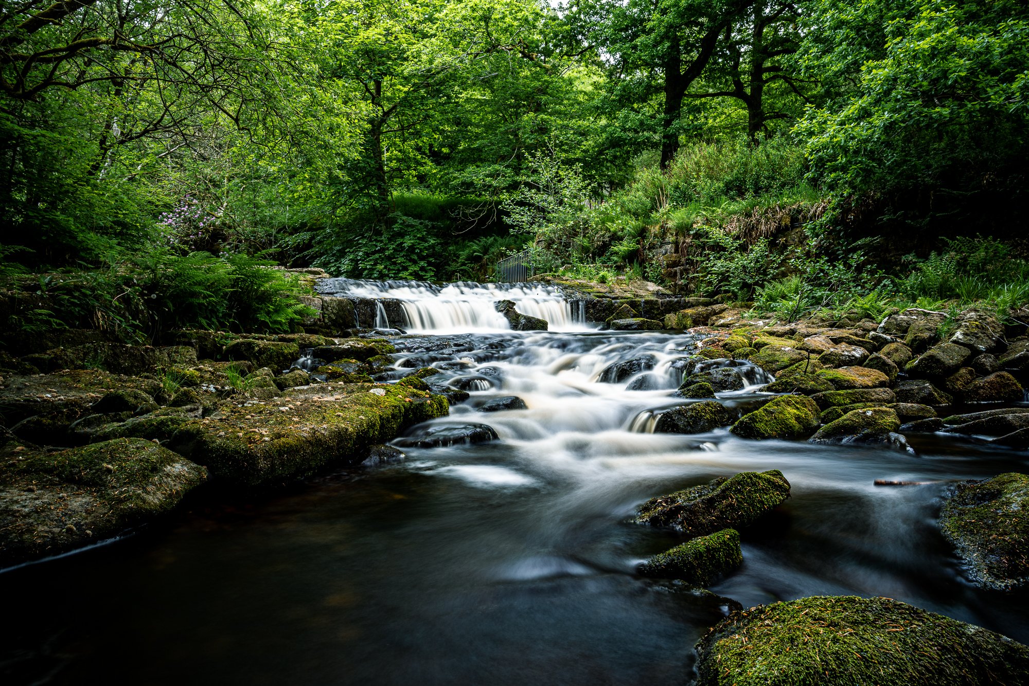 Water 3 low res.jpg
