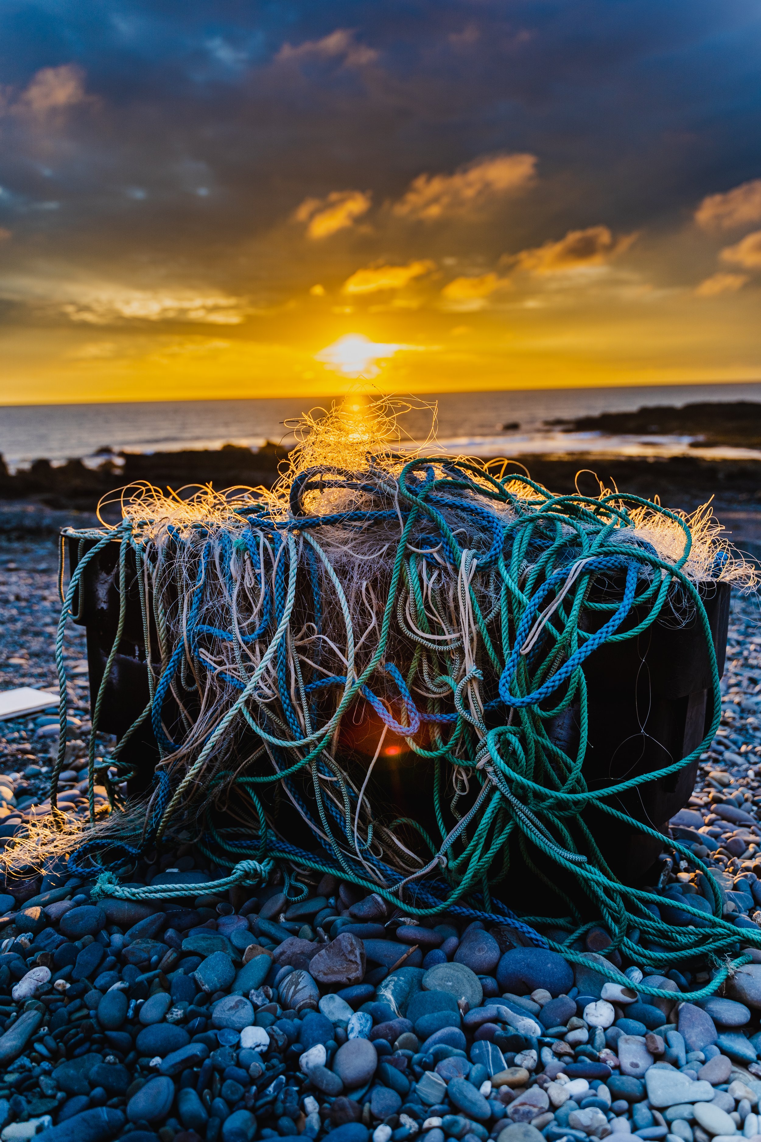 DSC03956-HDR.jpg