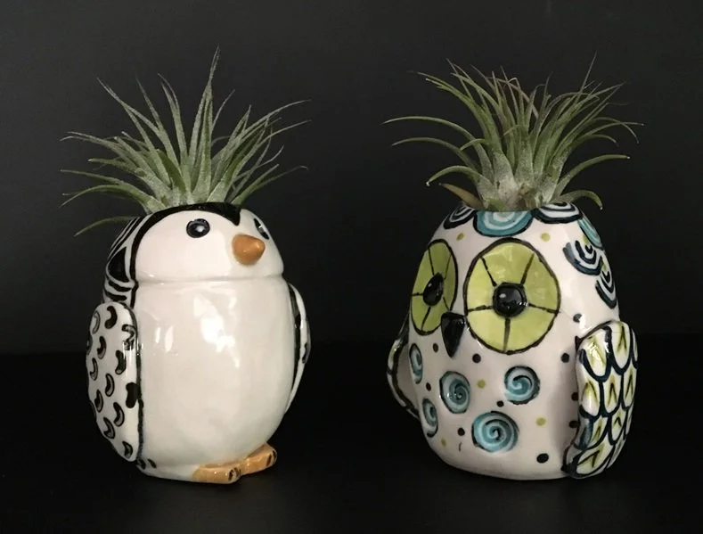 Buffolino penguin owl CTCG.jpg