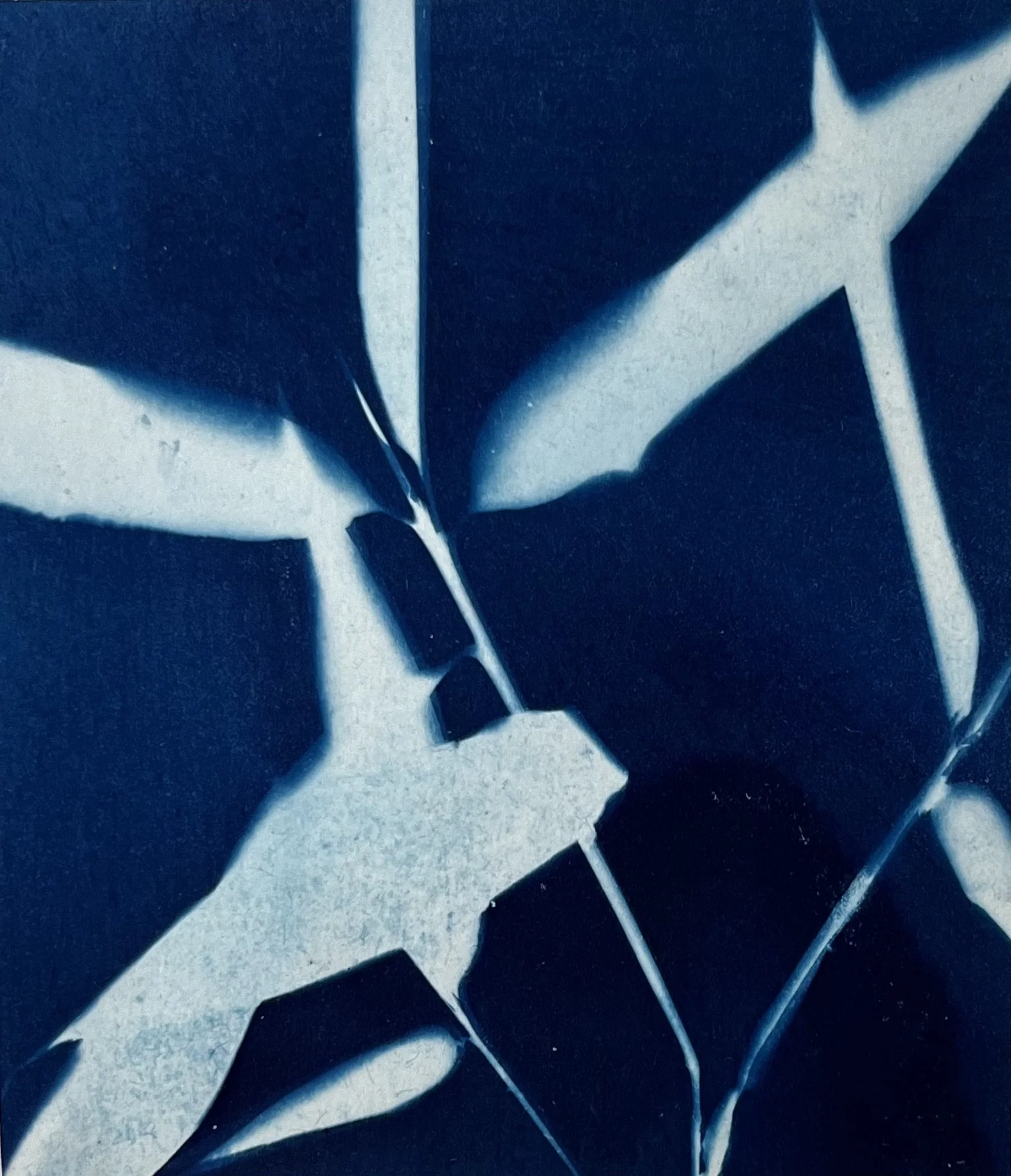 Pool, 2025, Cyanotype Print, 10 x 11cm