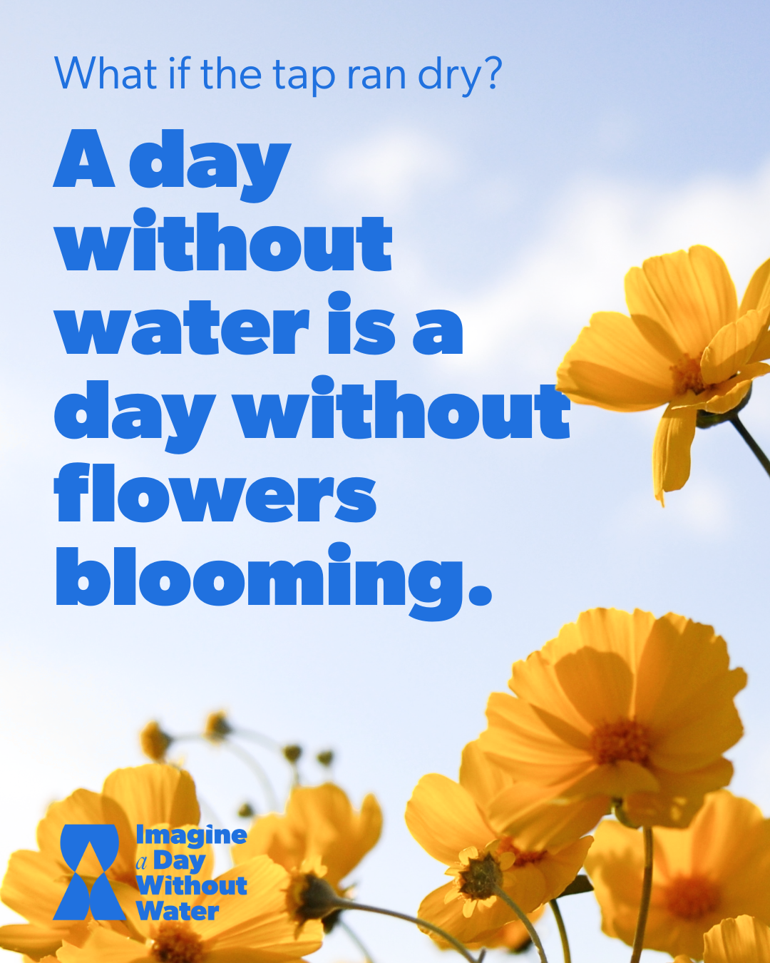 IAD_Tap 4-1-Portrait.png