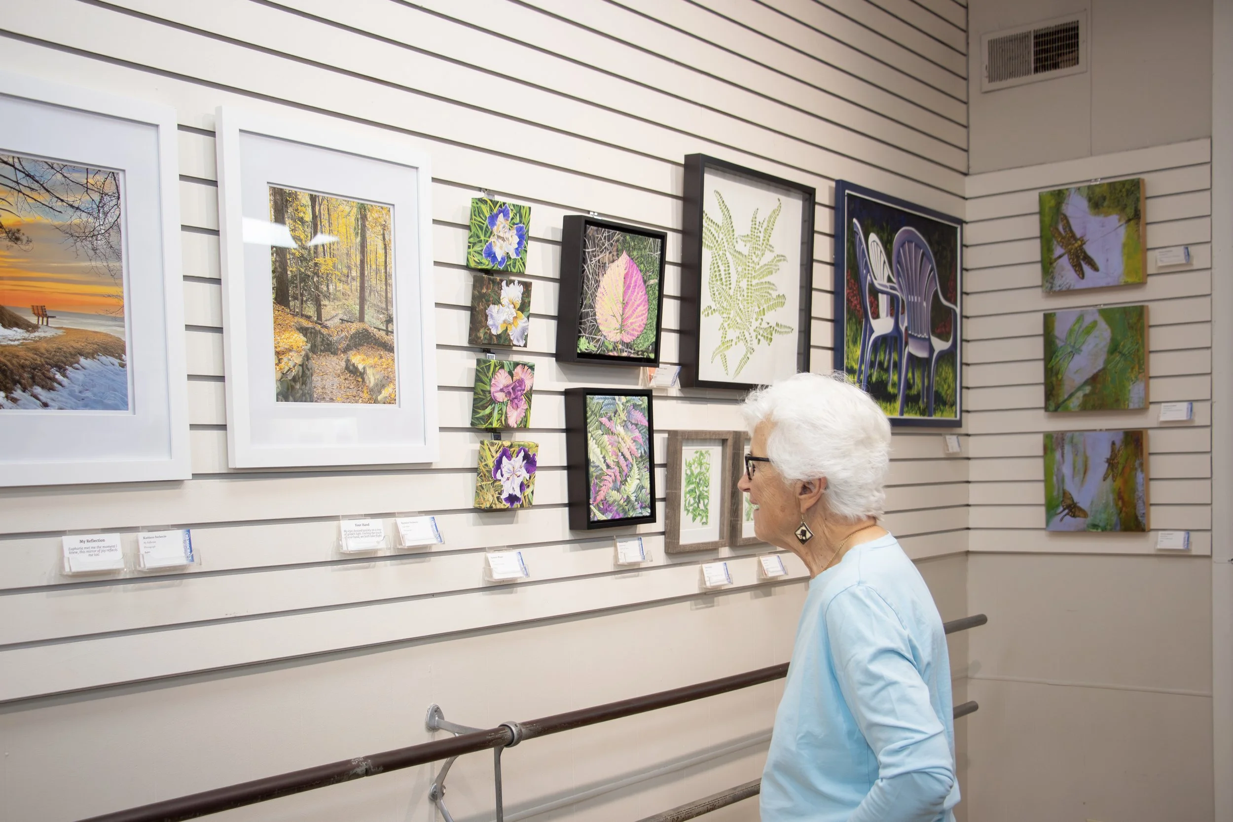 Democracy by Design (38).jpg