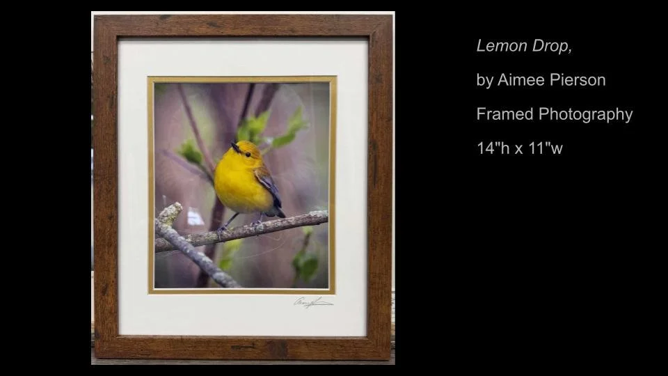 Copy of 2026 DEMOCRACY by DESIGN ARTWORK (36).jpg