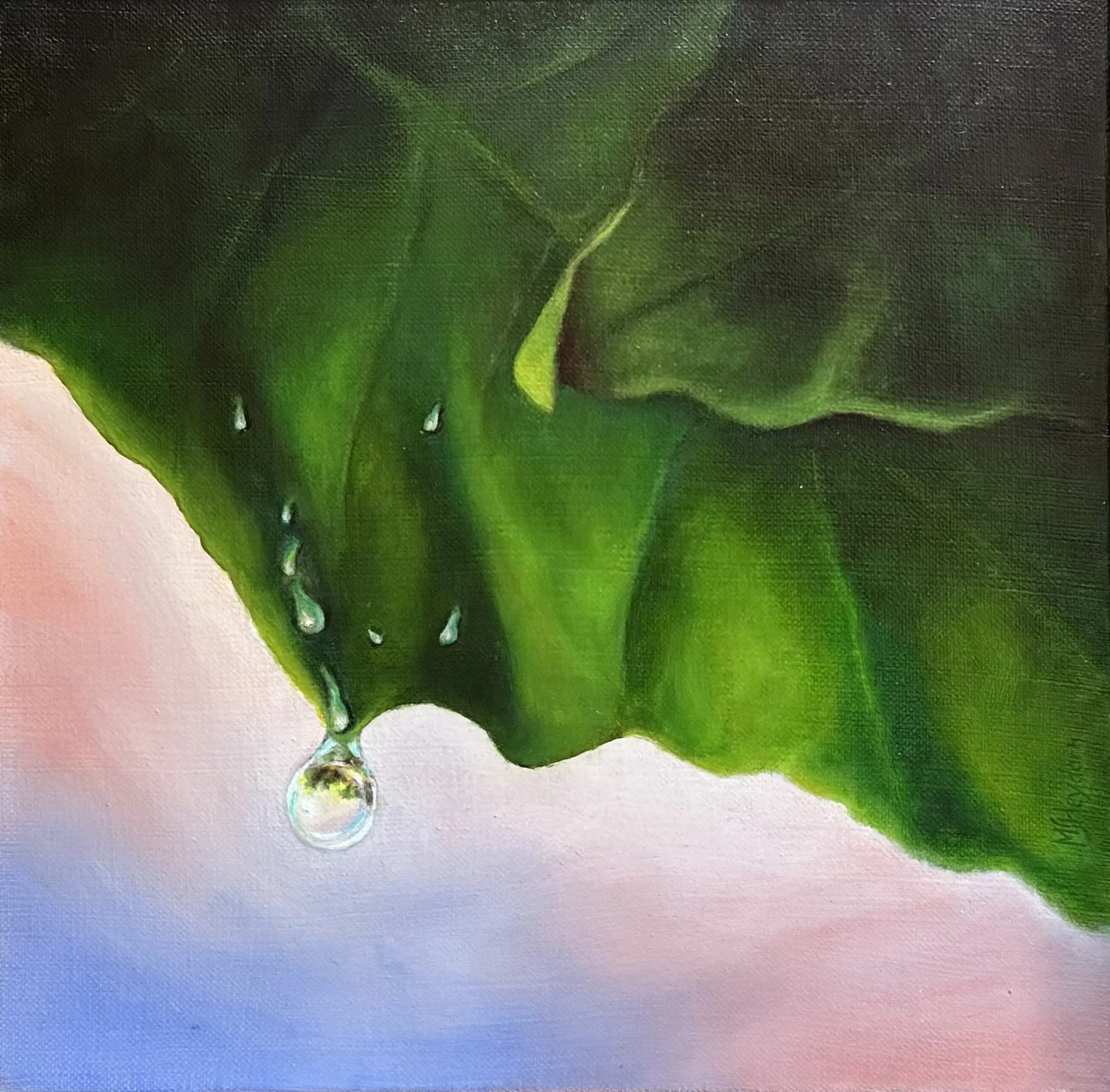 Rain Drop Landscape