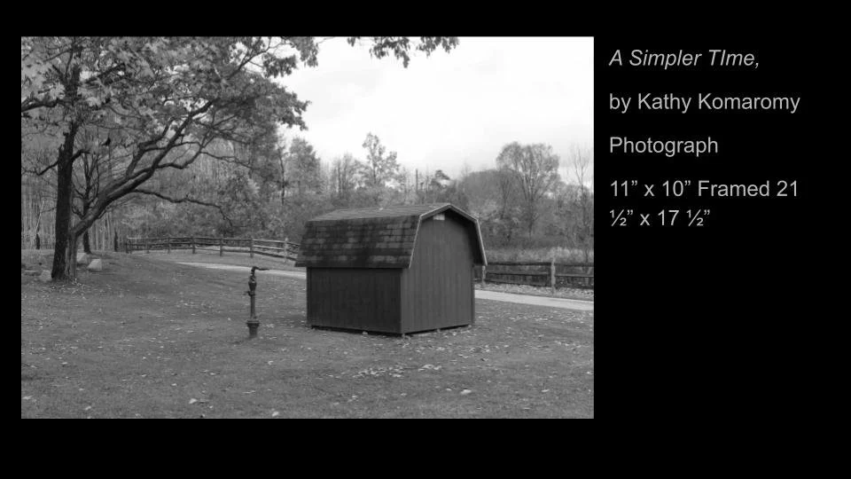 Copy of 2026 DEMOCRACY by DESIGN ARTWORK (52).jpg