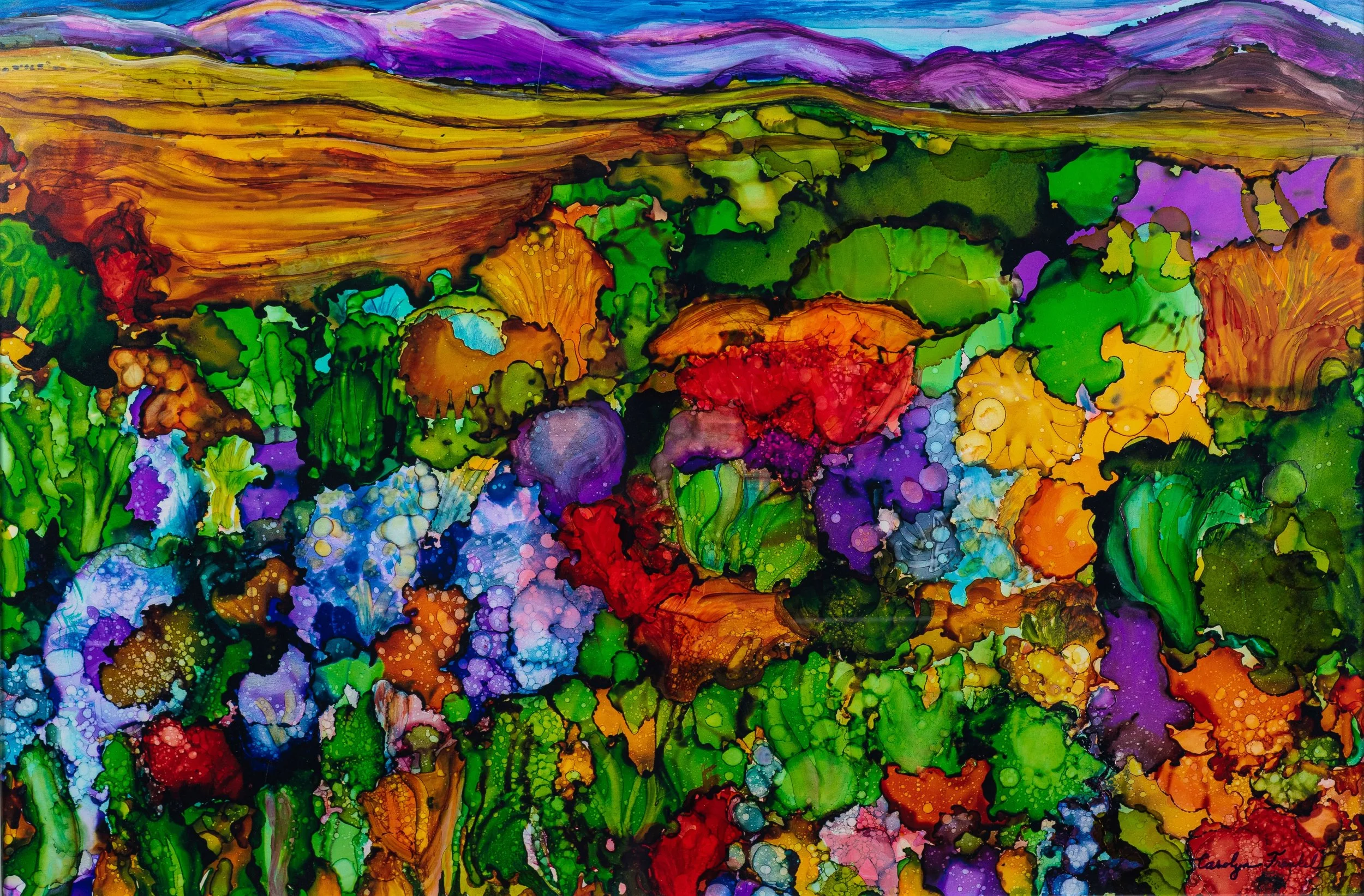 Flowering Hills by Carolyn Frankel