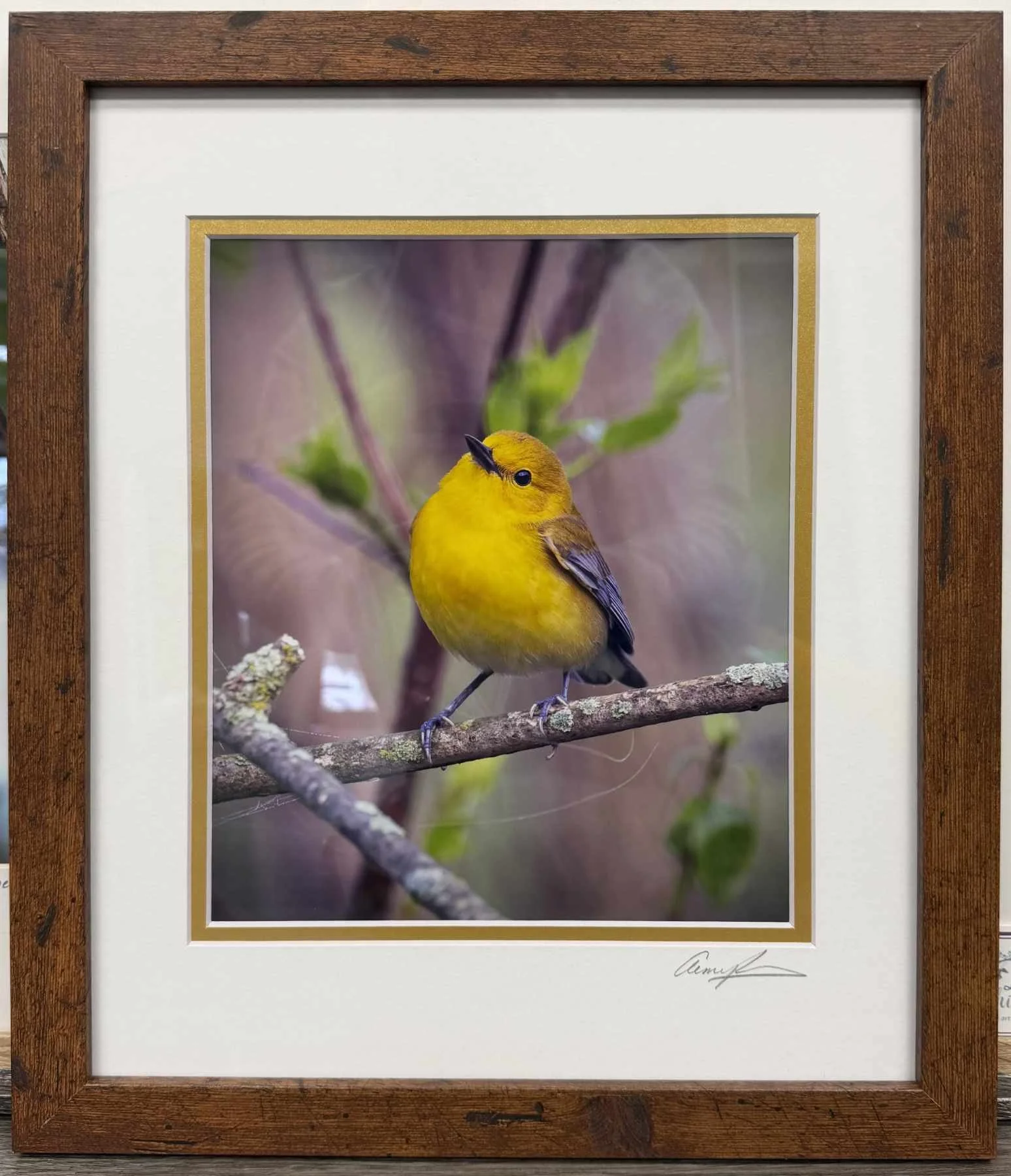 Lemon Drop by Aimee Pierson