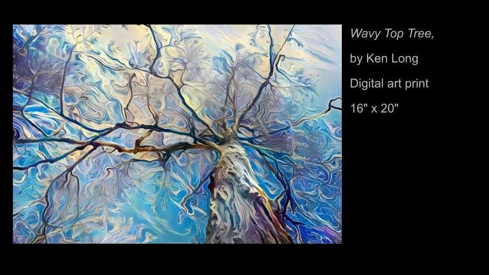 Copy of 2026 DEMOCRACY by DESIGN ARTWORK (55).jpg