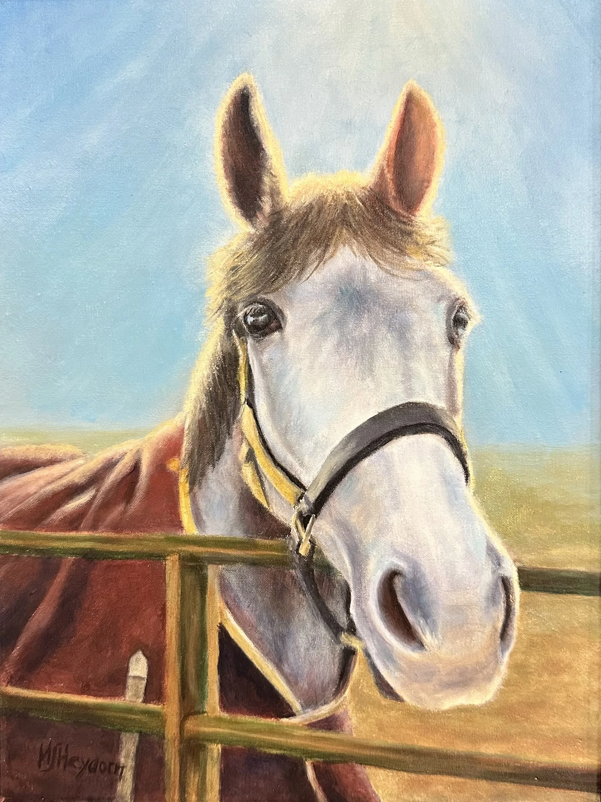 Mr Blue by Margaret Heydorn