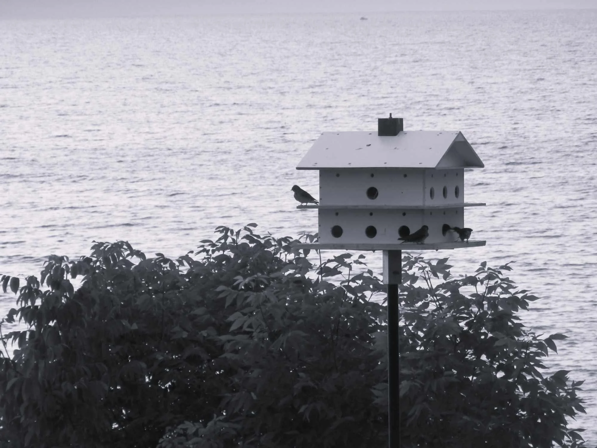 Home Sweet Home by James Komaromy