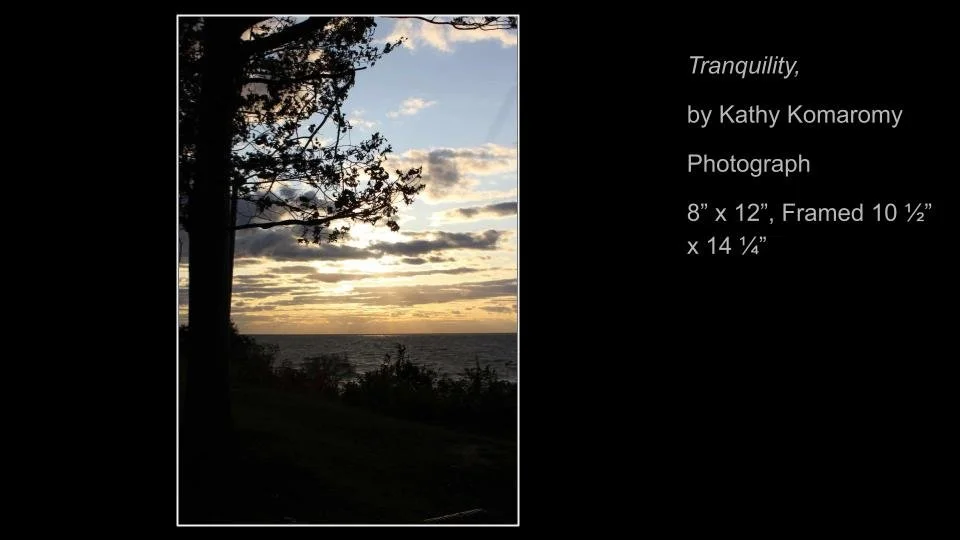 Copy of 2026 DEMOCRACY by DESIGN ARTWORK (54).jpg